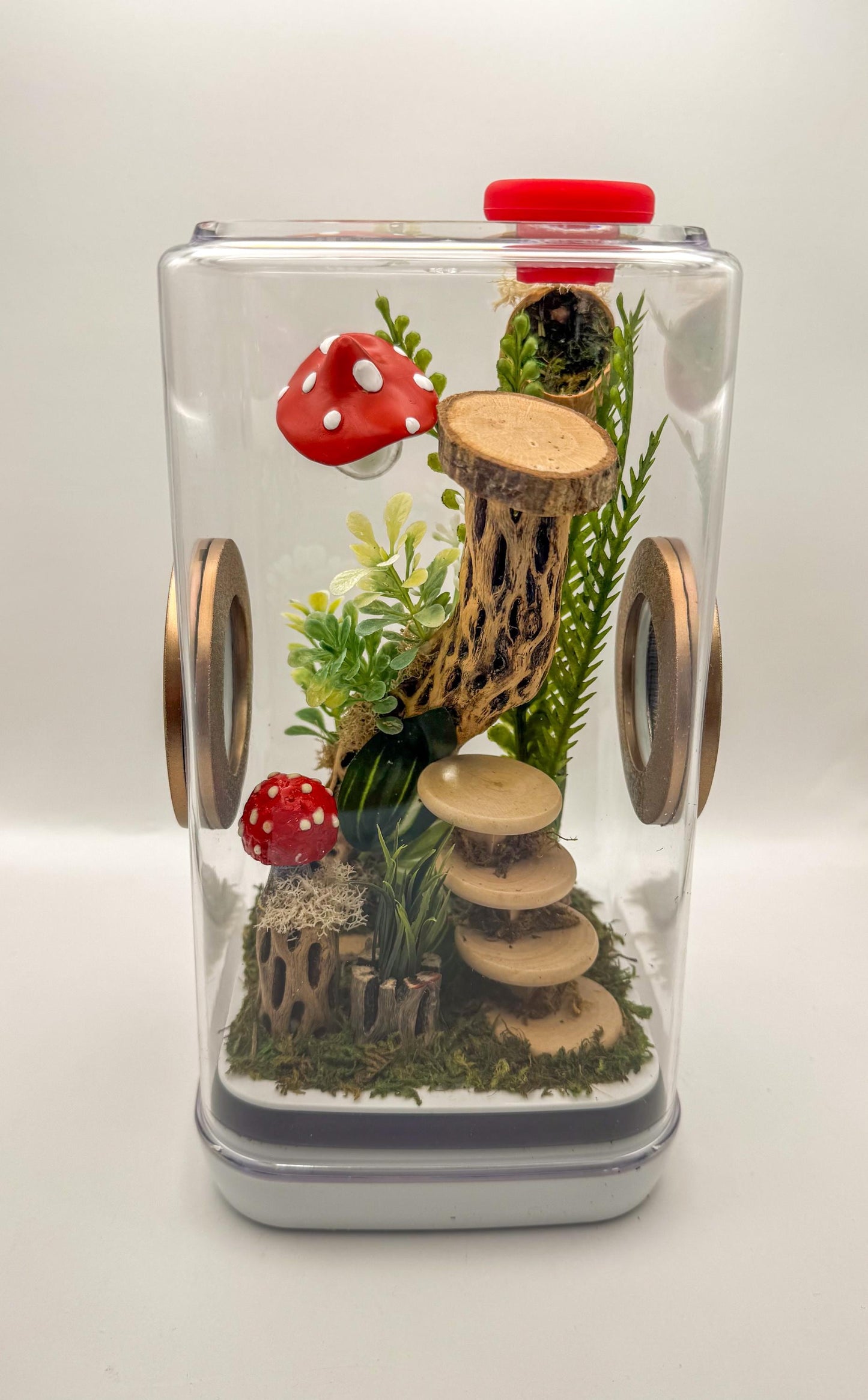 Jumping Spider Enclosure, 5x5x9, , READY TO SHIP, extra large spider house, spider habitat, arachnid habitat, jumping spider habitat, tank