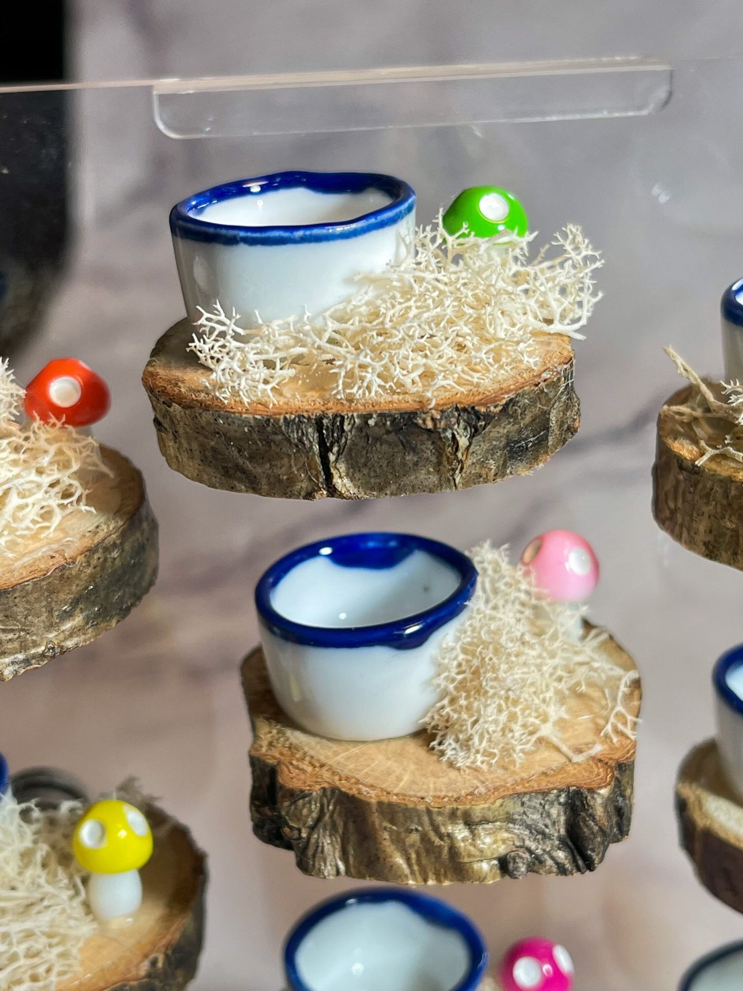 Jumping Spider food dish