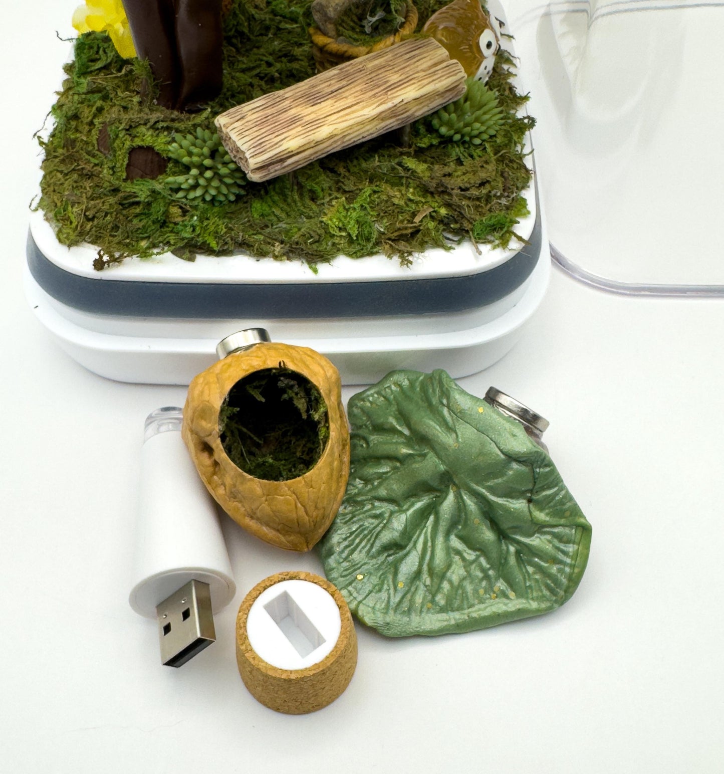 Large Decorated Jumping Spider Enclosure, 5x5x9