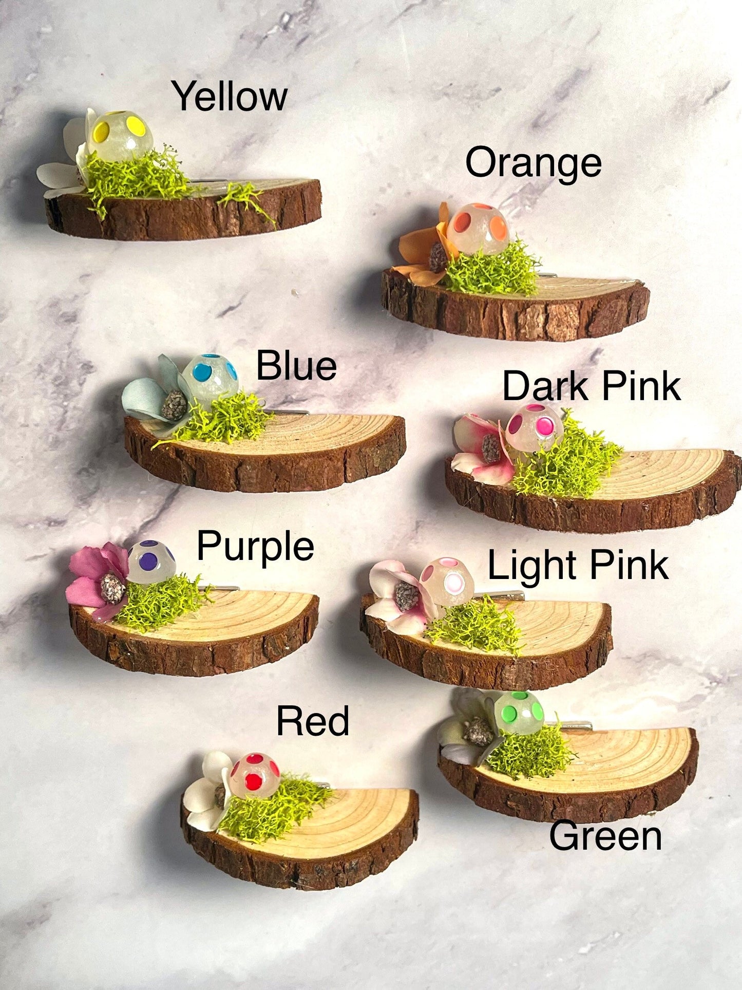 Jumping Spider wood shelf