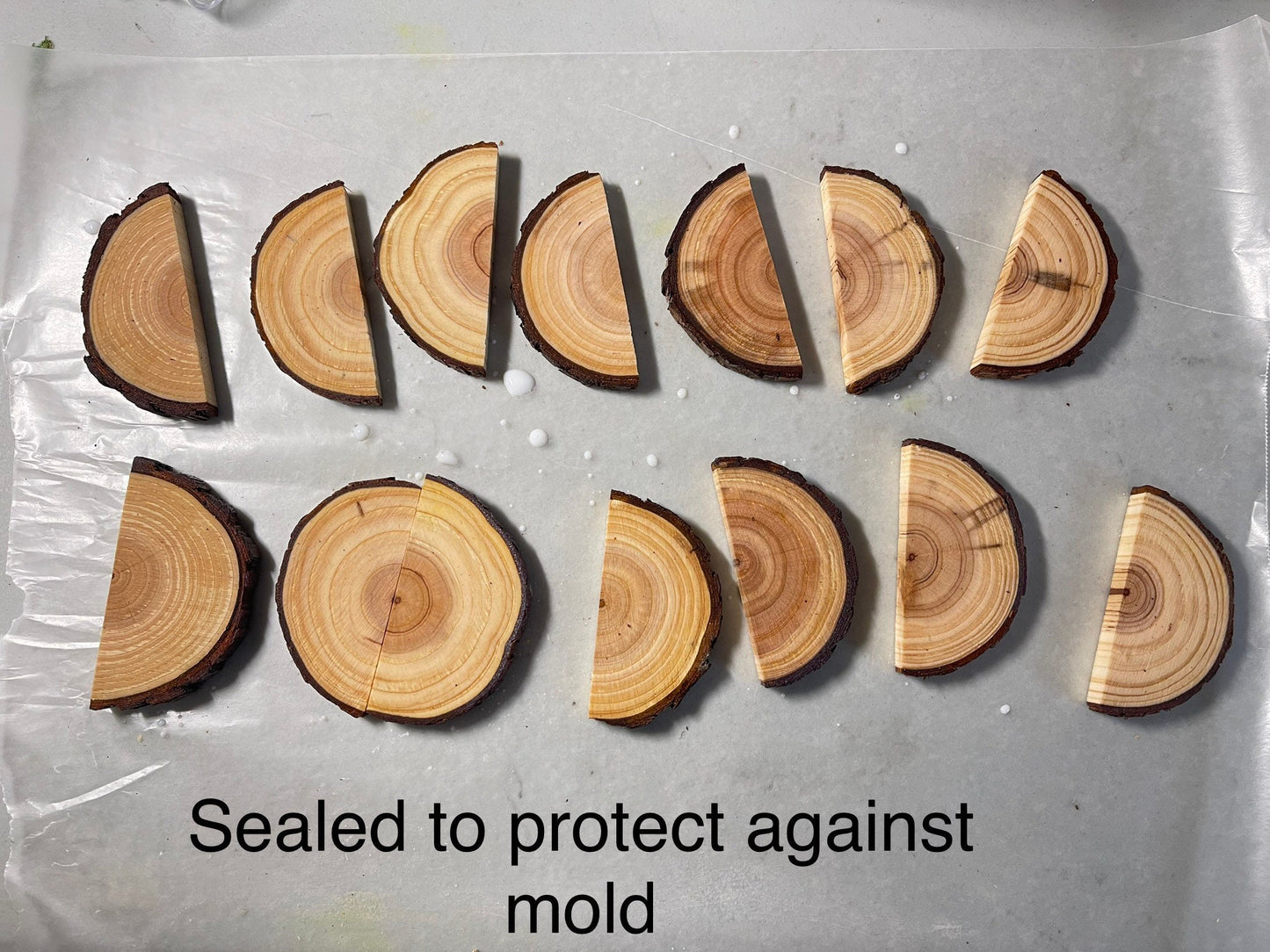 Jumping Spider wood shelf