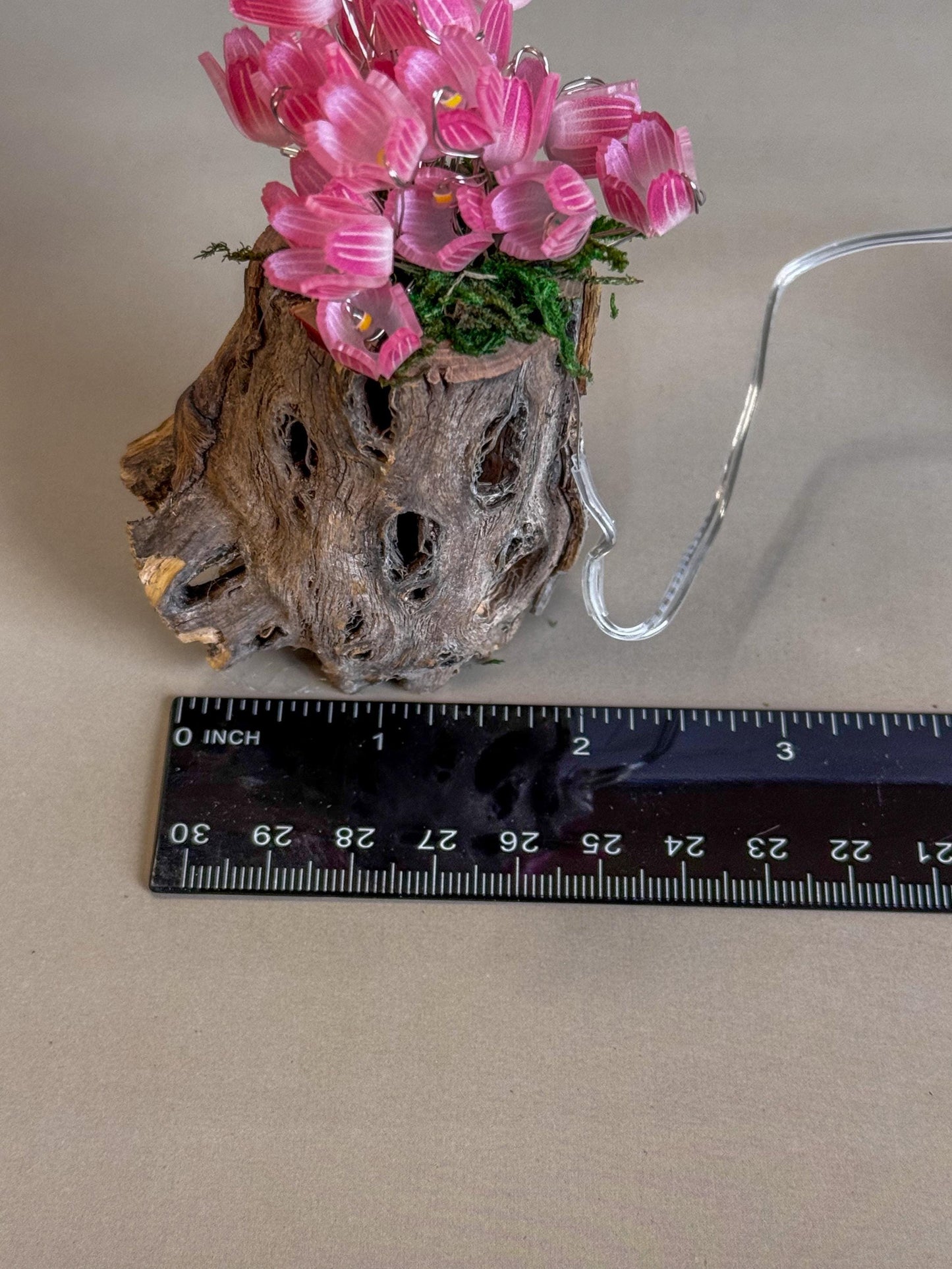 Fairy garden with tulips and fairy lights