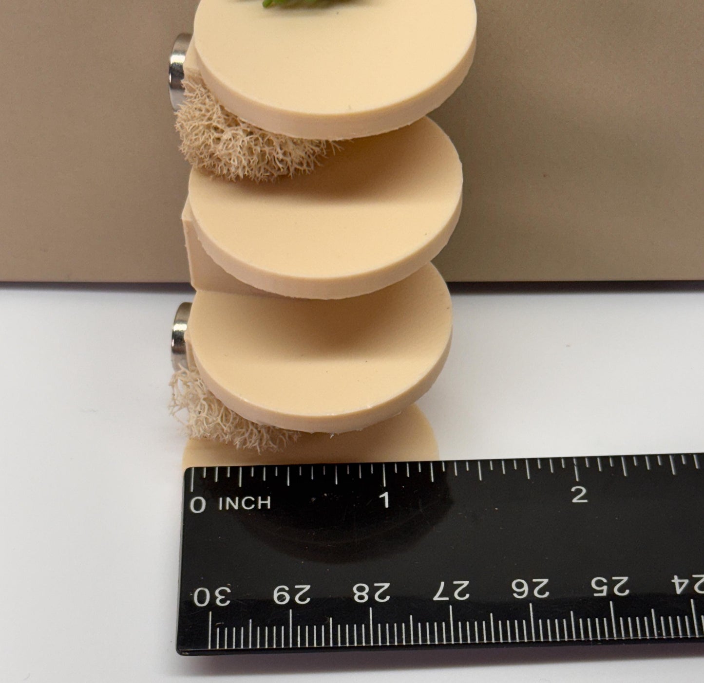 Jumping spider enclosure ladder or steps, magnetic enclosure accessory, jumping spider decor, small to medium