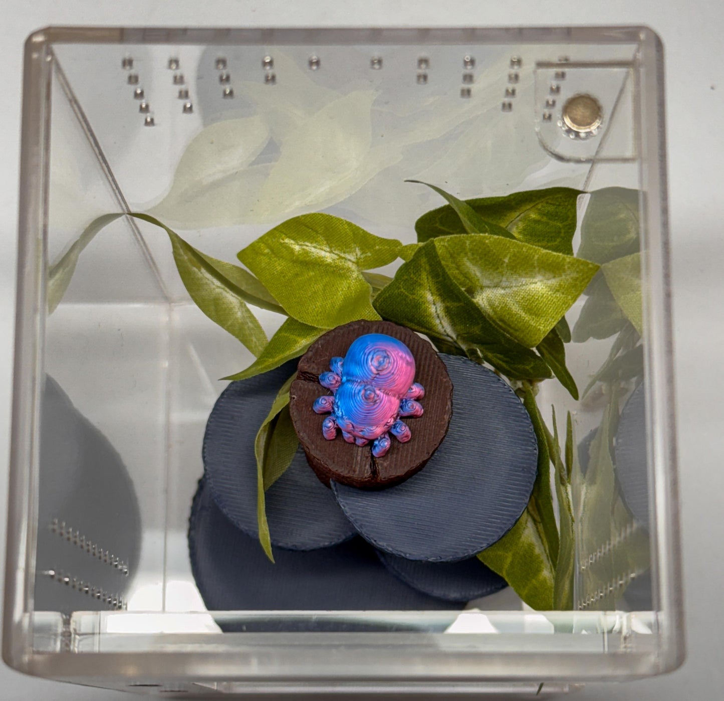 Jumping spider Tower with steps,jumping spider decoration/decor for enclosure, small or medium accessory for habitat