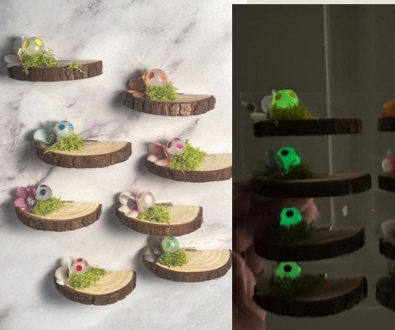 Jumping Spider wood shelf