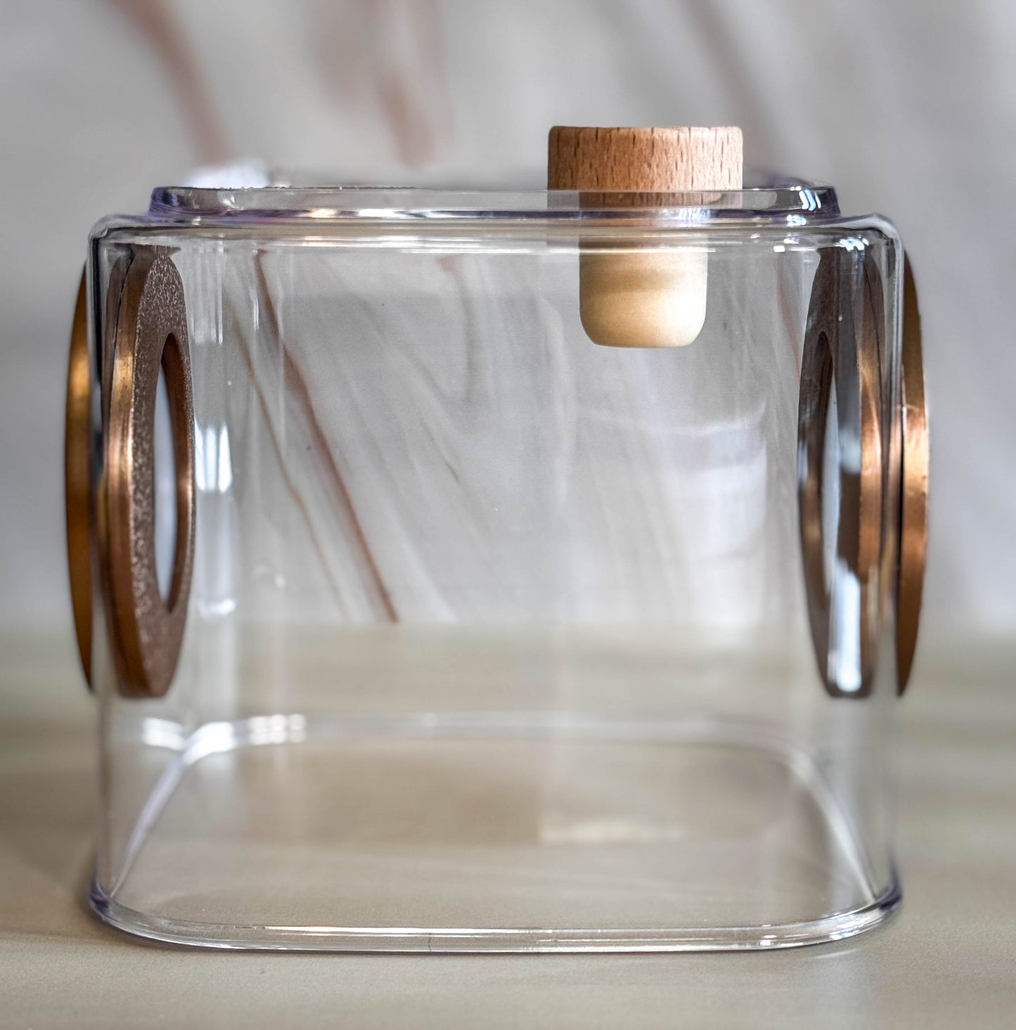 Decorated Small Jumping Spider Enclosure, 5x5x5