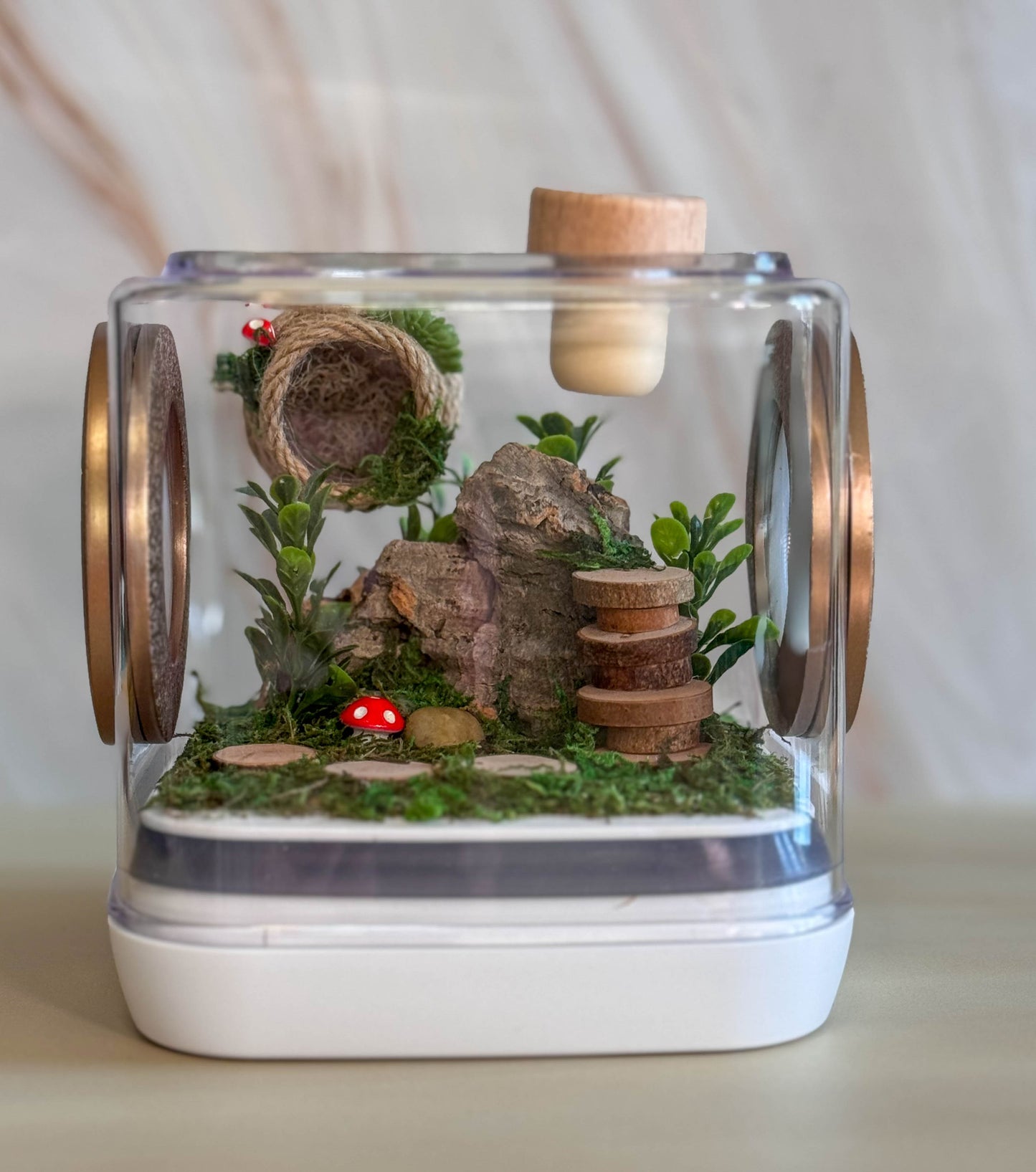 Decorated Small Jumping Spider Enclosure, 5x5x5