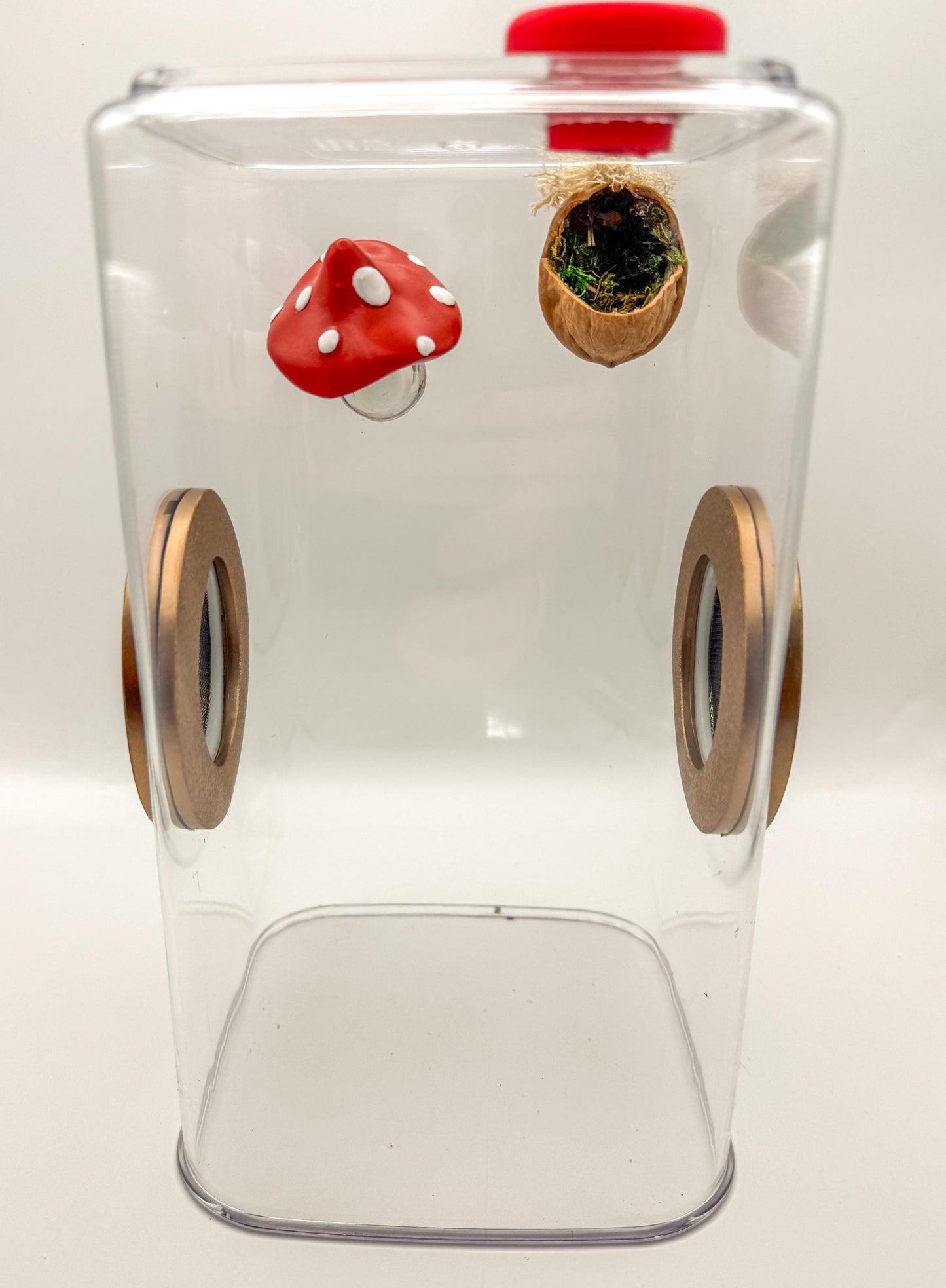 Jumping Spider Enclosure, 5x5x9, , READY TO SHIP, extra large spider house, spider habitat, arachnid habitat, jumping spider habitat, tank