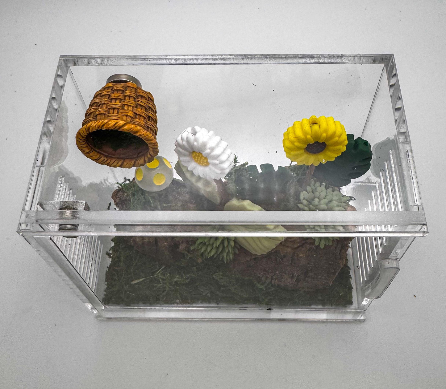 Jumping Spider Sling Enclosure, 4x3x x2.35