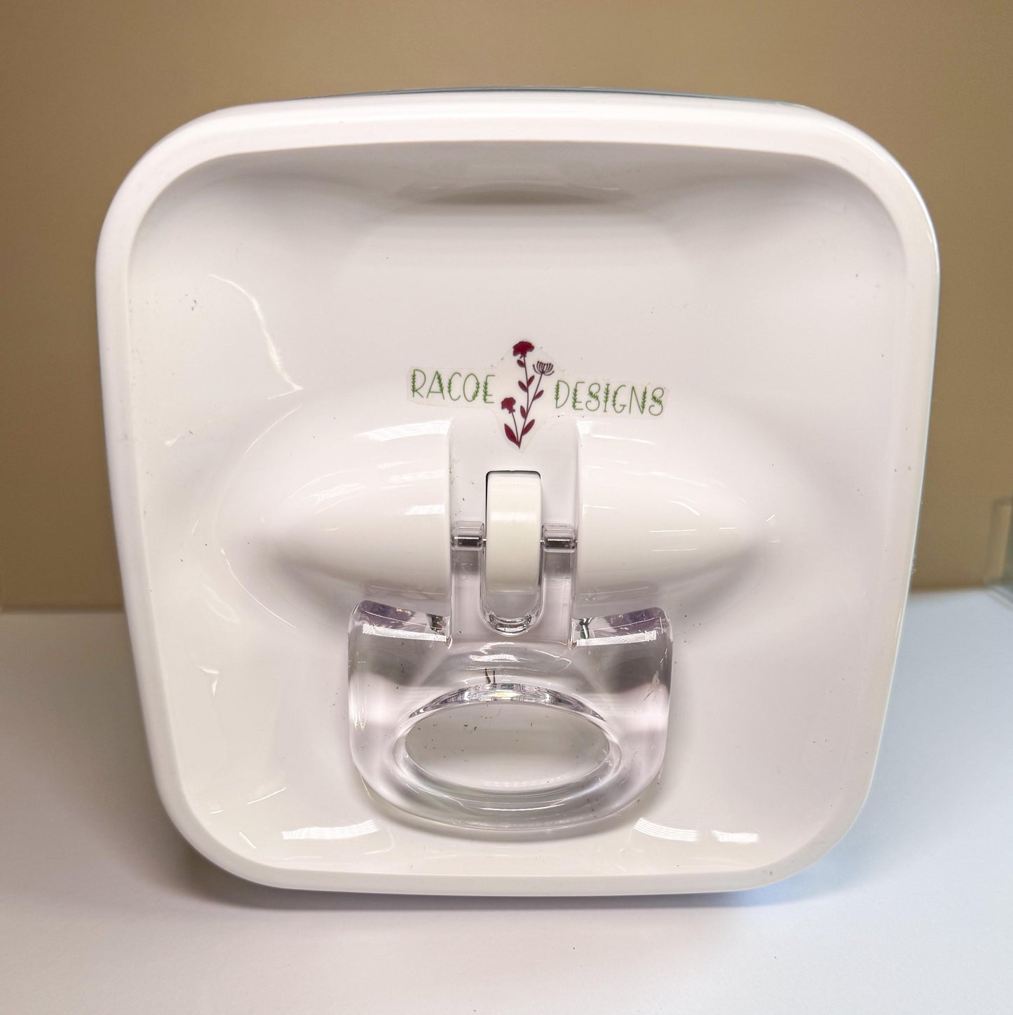 Decorated Large Jumping Spider Enclosure, 6x6x9