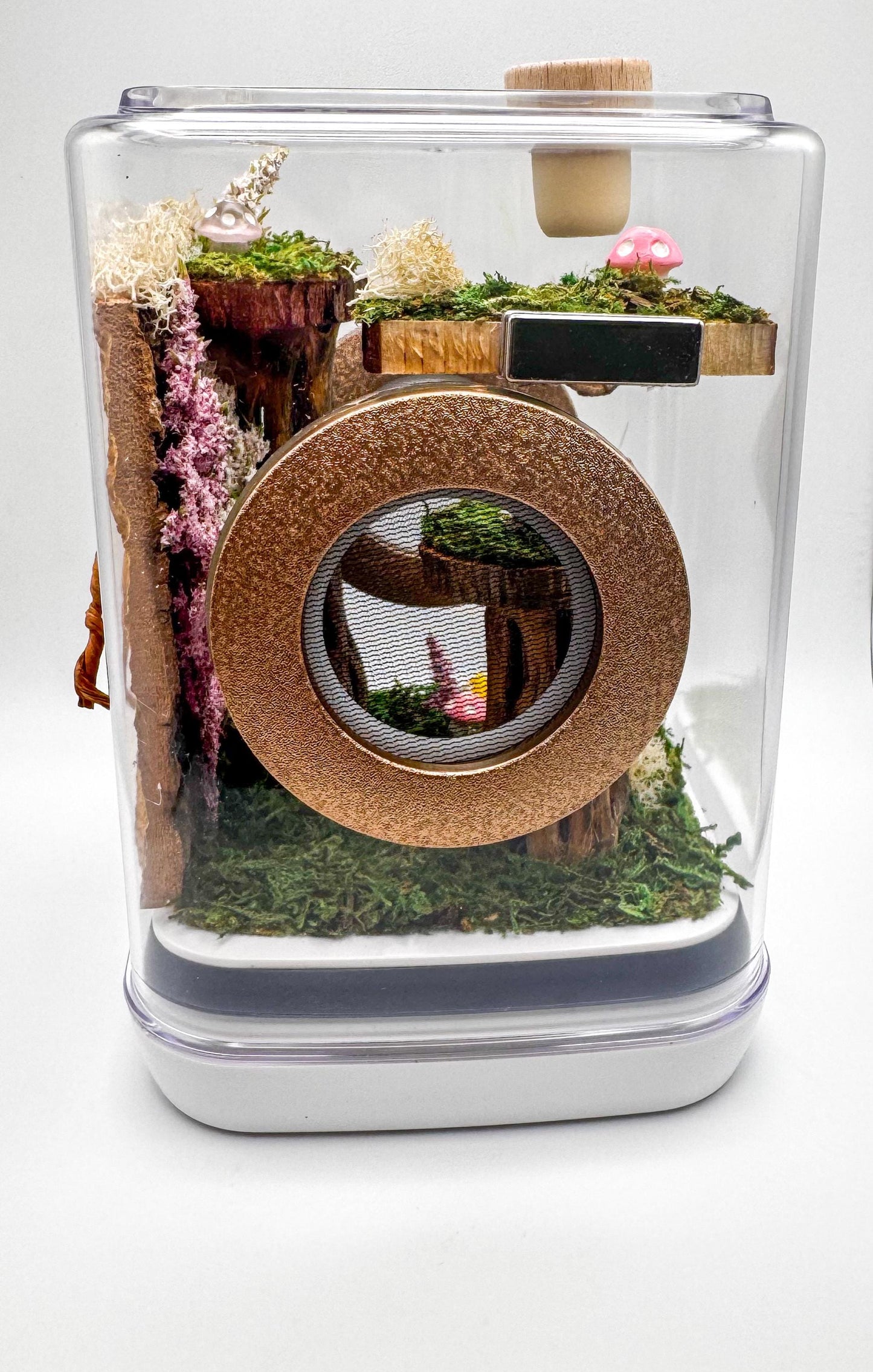 Jumping Spider Enclosure, 5x5x7 spider house, spider tank, spider habitat, arachnid habitat, jumping spider habitat