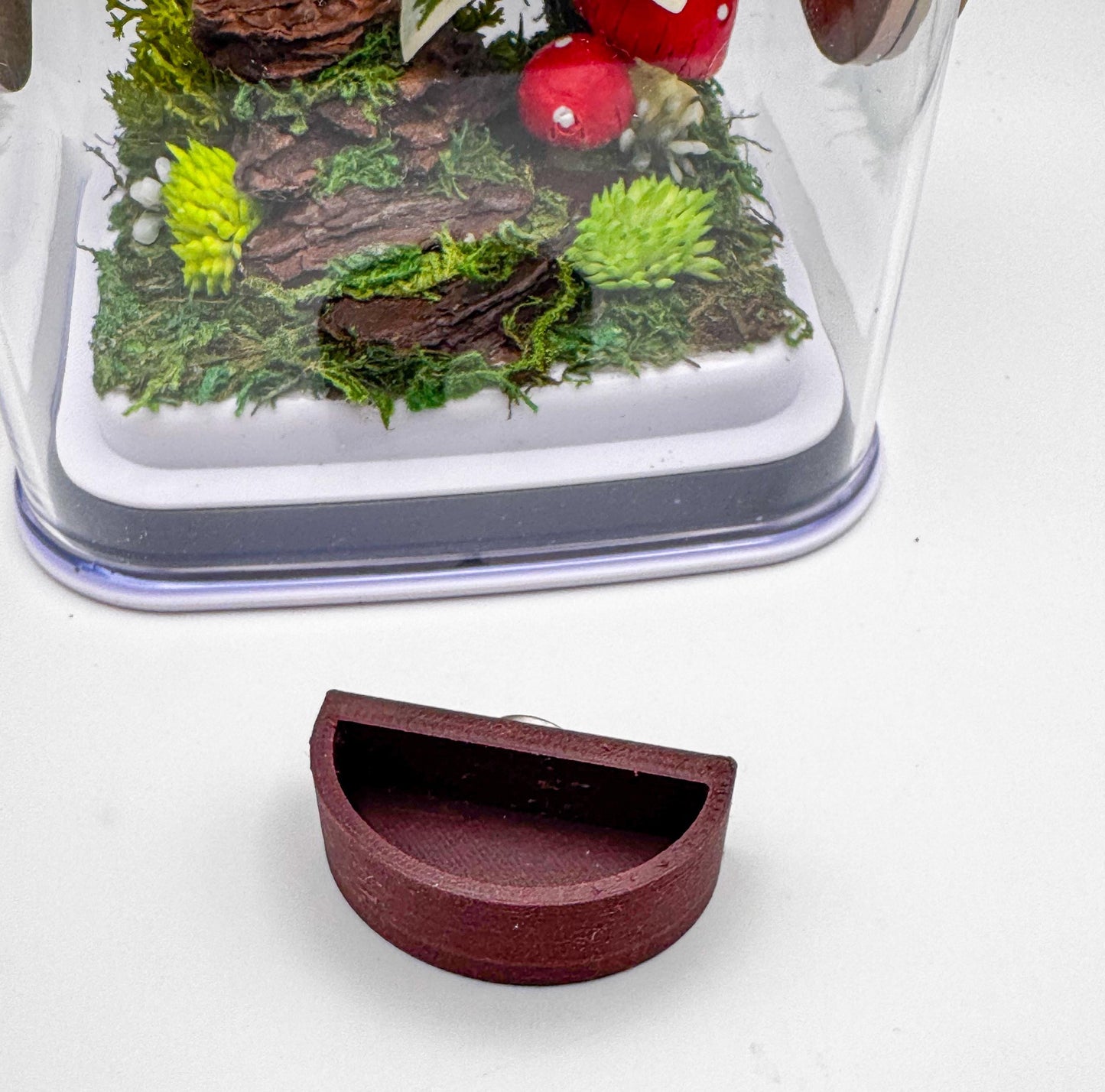 Jumping Spider food dish, jumping spider enclosure , accessories for jumping spider enclosure, jumping spider habitat, jumping spider decor