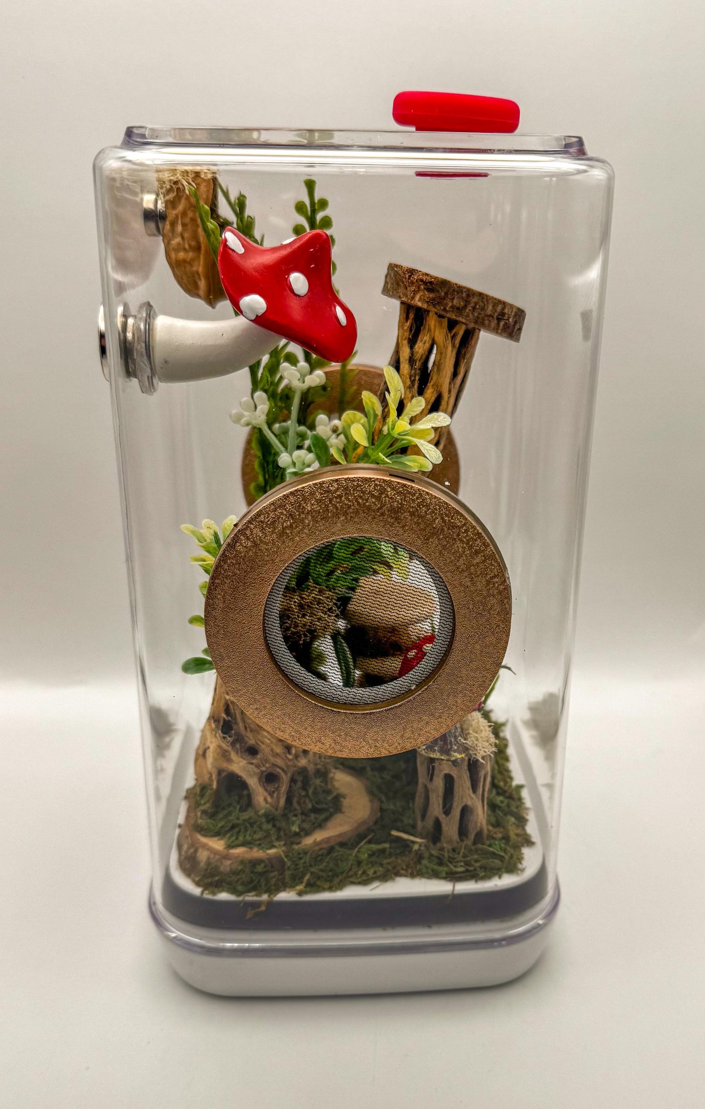 Jumping Spider Enclosure, 5x5x9, , READY TO SHIP, extra large spider house, spider habitat, arachnid habitat, jumping spider habitat, tank