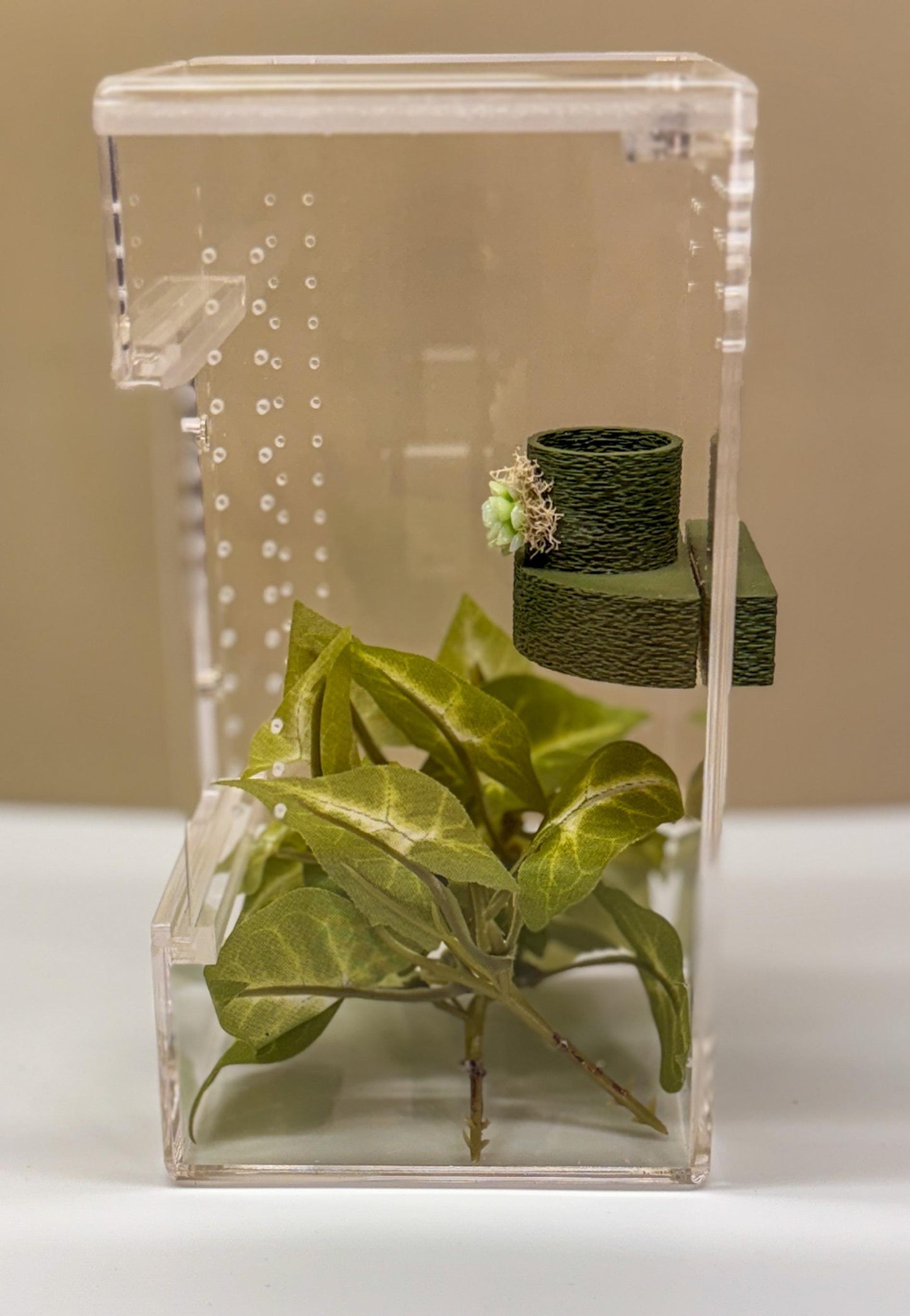 Jumping Spider Magnetic shelf and food dish, accessories for jumping spider enclosure or habitat, small decor