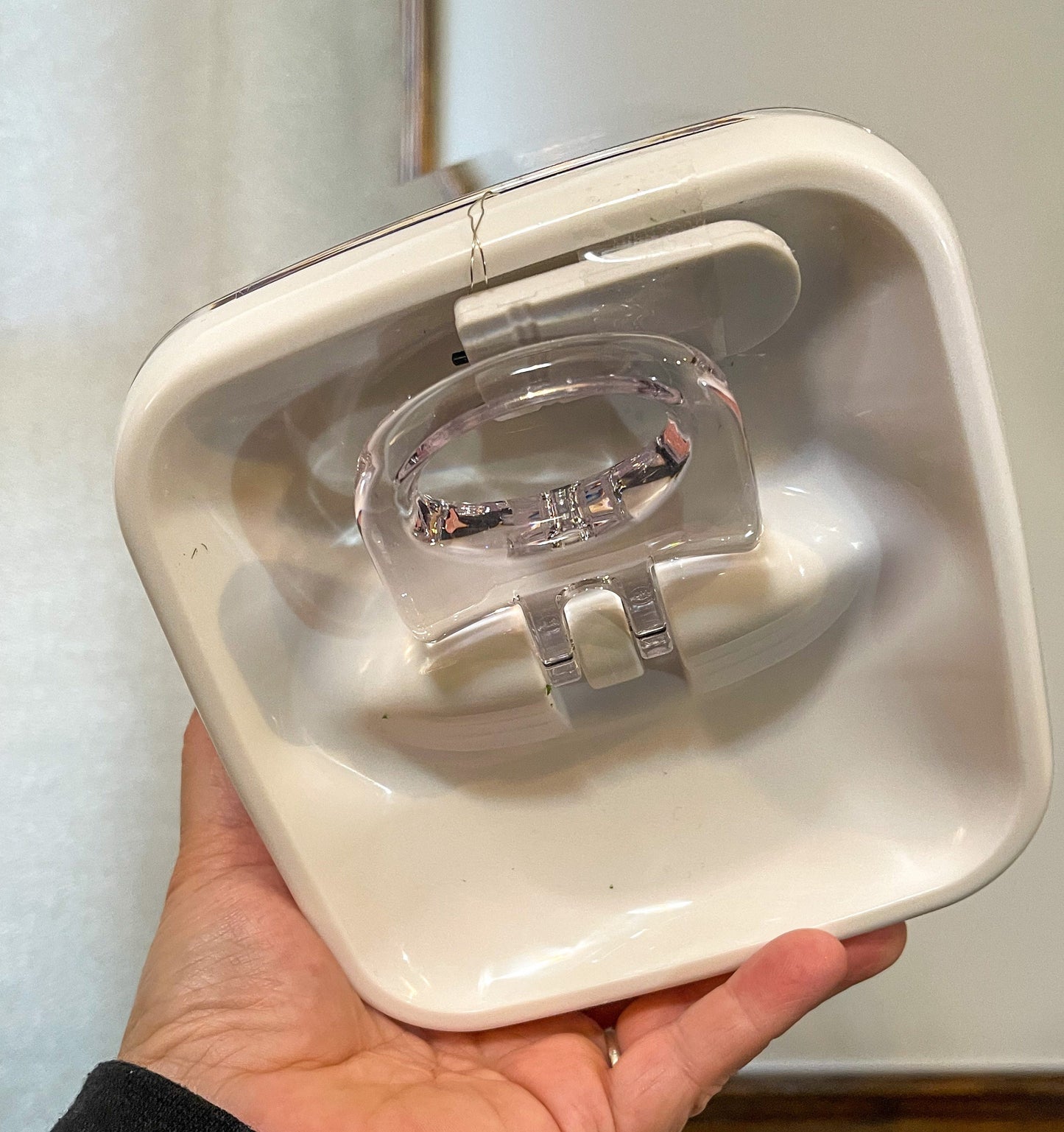 Decorated Medium Jumping Spider Enclosure, 5x5x7