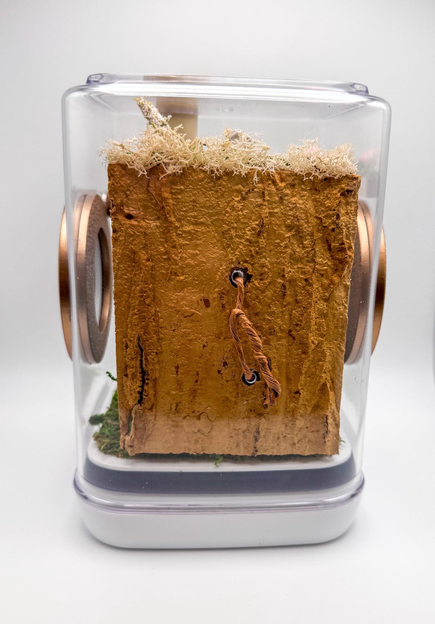 Jumping Spider Enclosure, 5x5x7 spider house, spider tank, spider habitat, arachnid habitat, jumping spider habitat