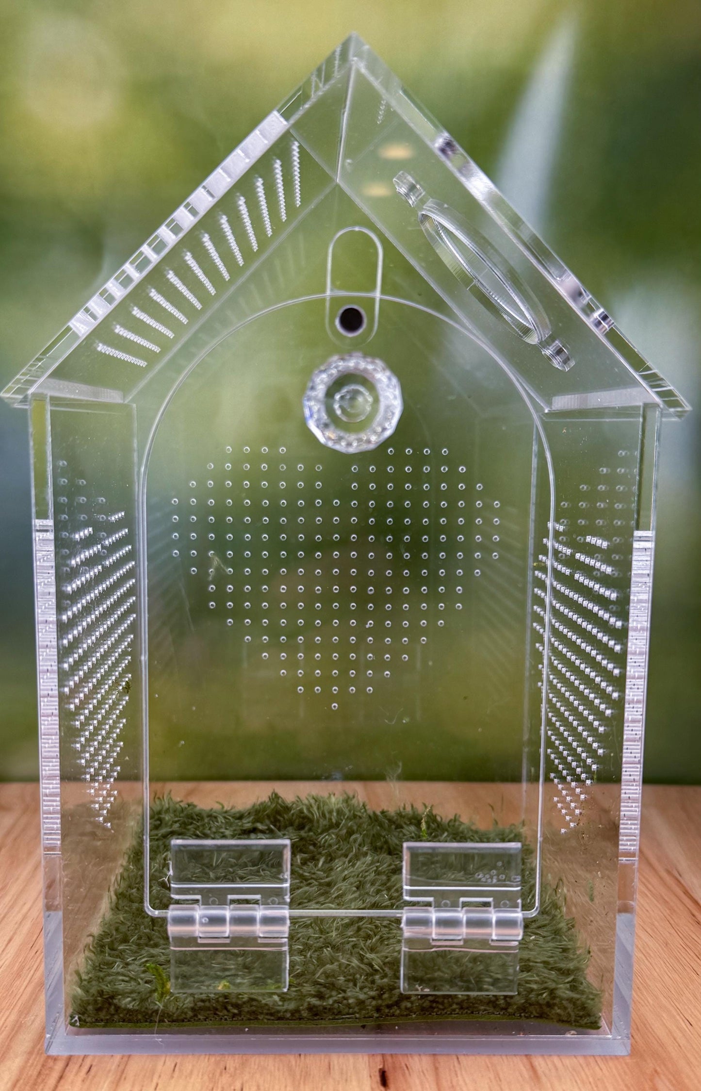 Decorated Acrylic Jumping Spider Enclosure, Front Opening Habitat (8x5x5)