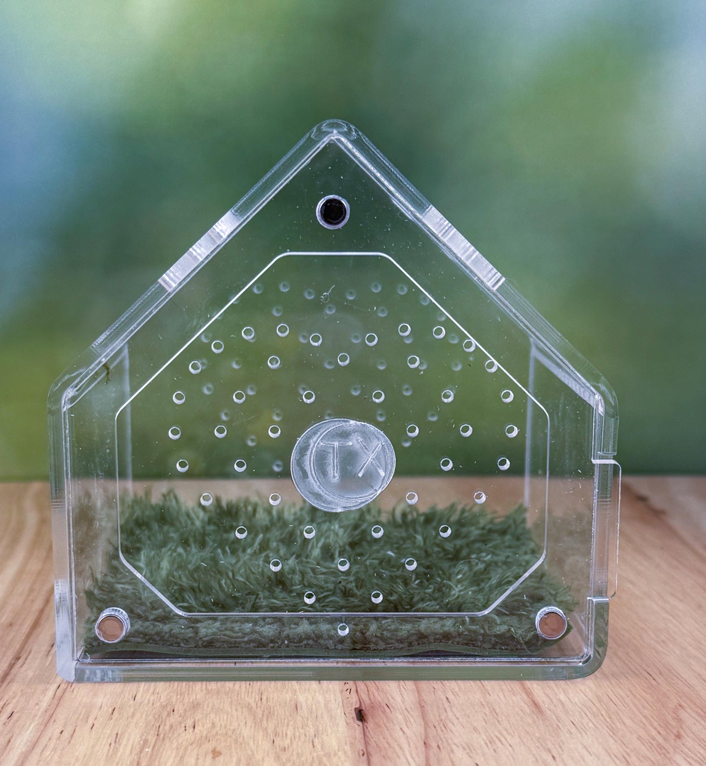 Decorated Acrylic Jumping Spider Enclosure, Front Opening Habitat 3.75x3.75x3.75