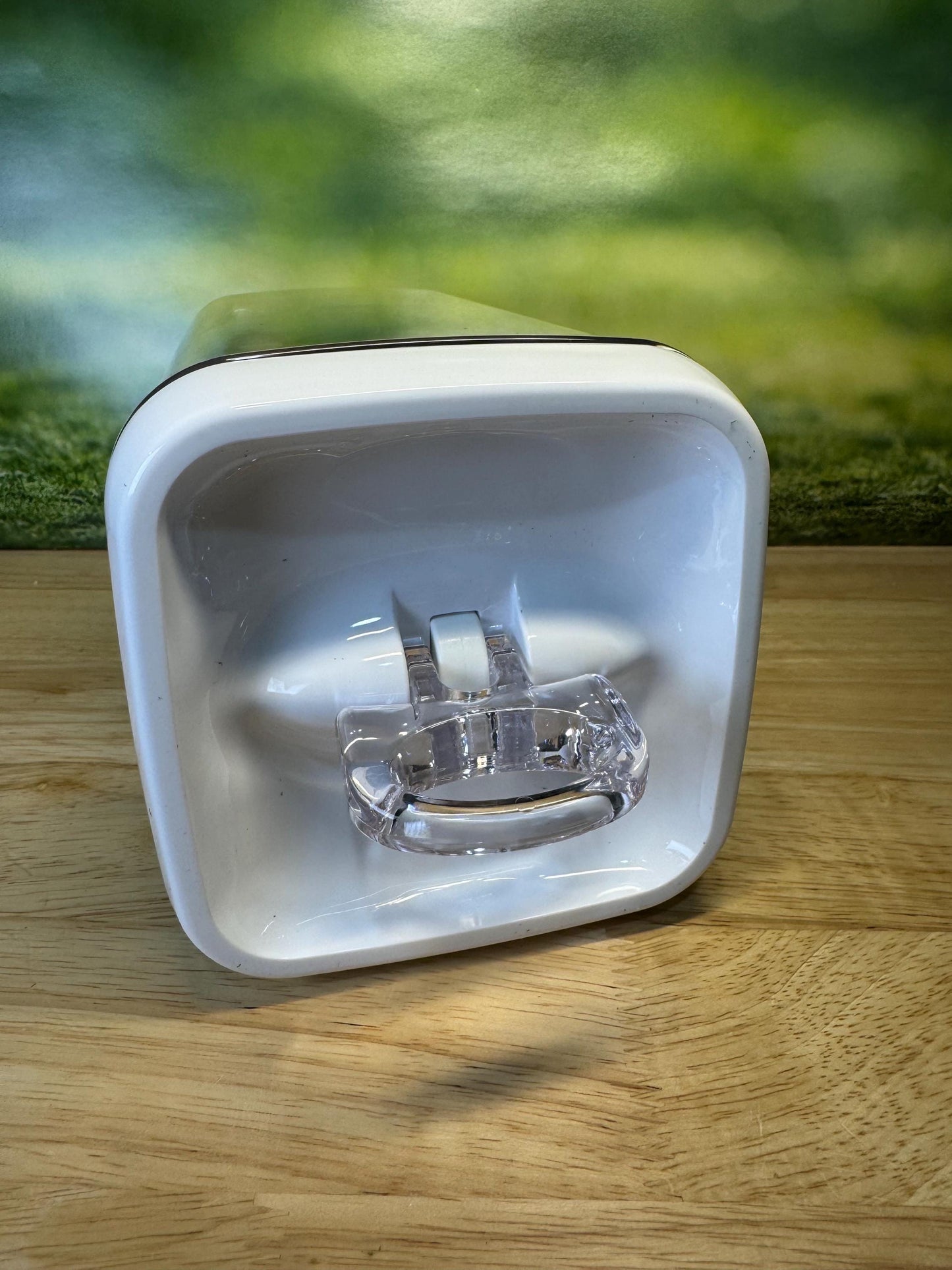Decorated Jumping Spider Enclosure, 5x5x9, , READY TO SHIP, extra large spider house