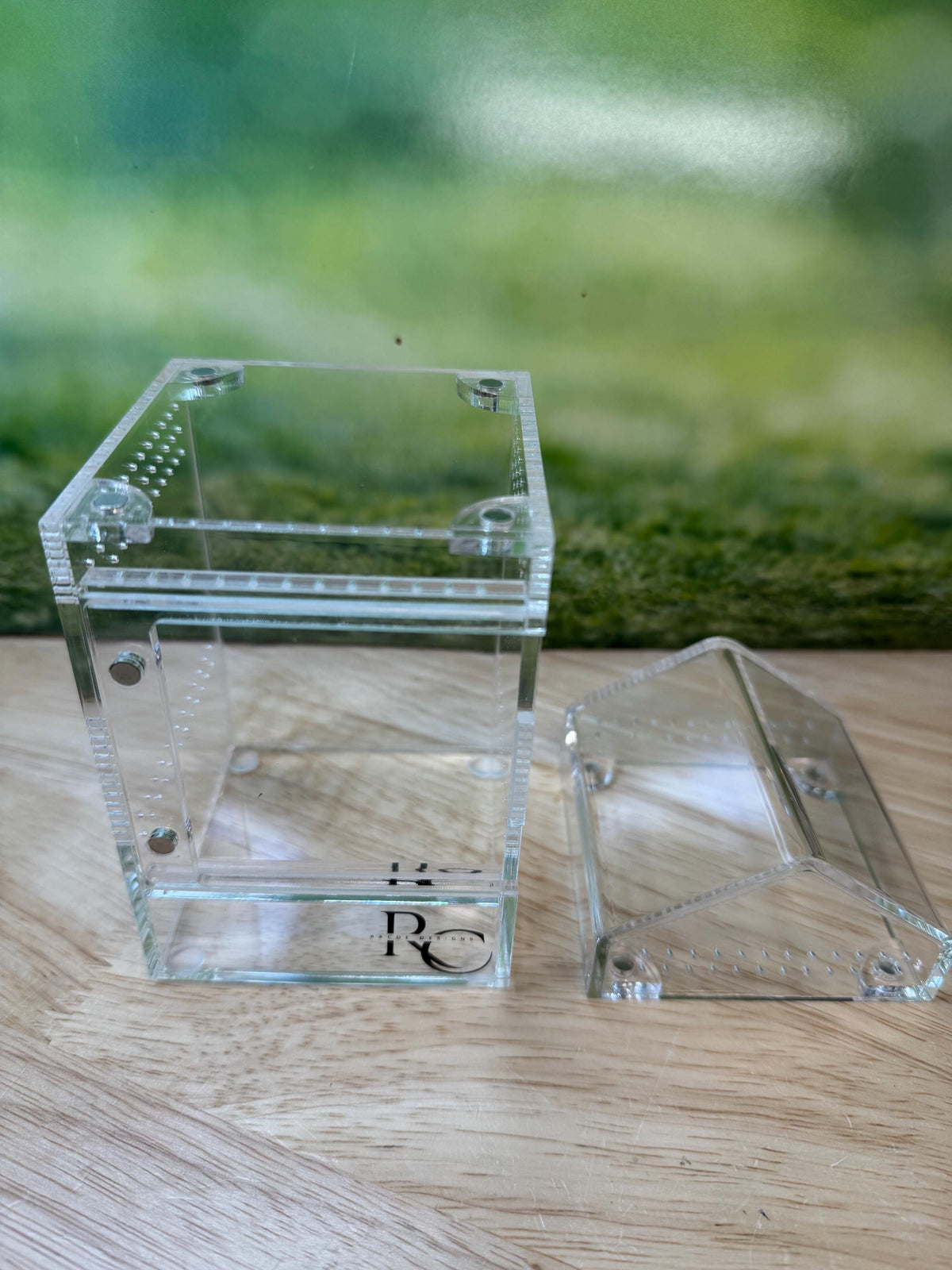 Decorated Acrylic Jumping Spider Enclosure, Magnetic Top and Front Opening Habitat, small, medium, and large