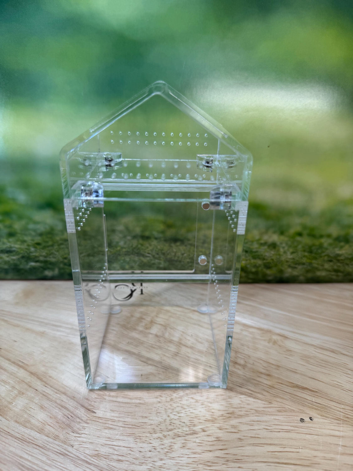 Decorated Acrylic Jumping Spider Enclosure, Magnetic Top and Front Opening Habitat, Small, 3x3x6