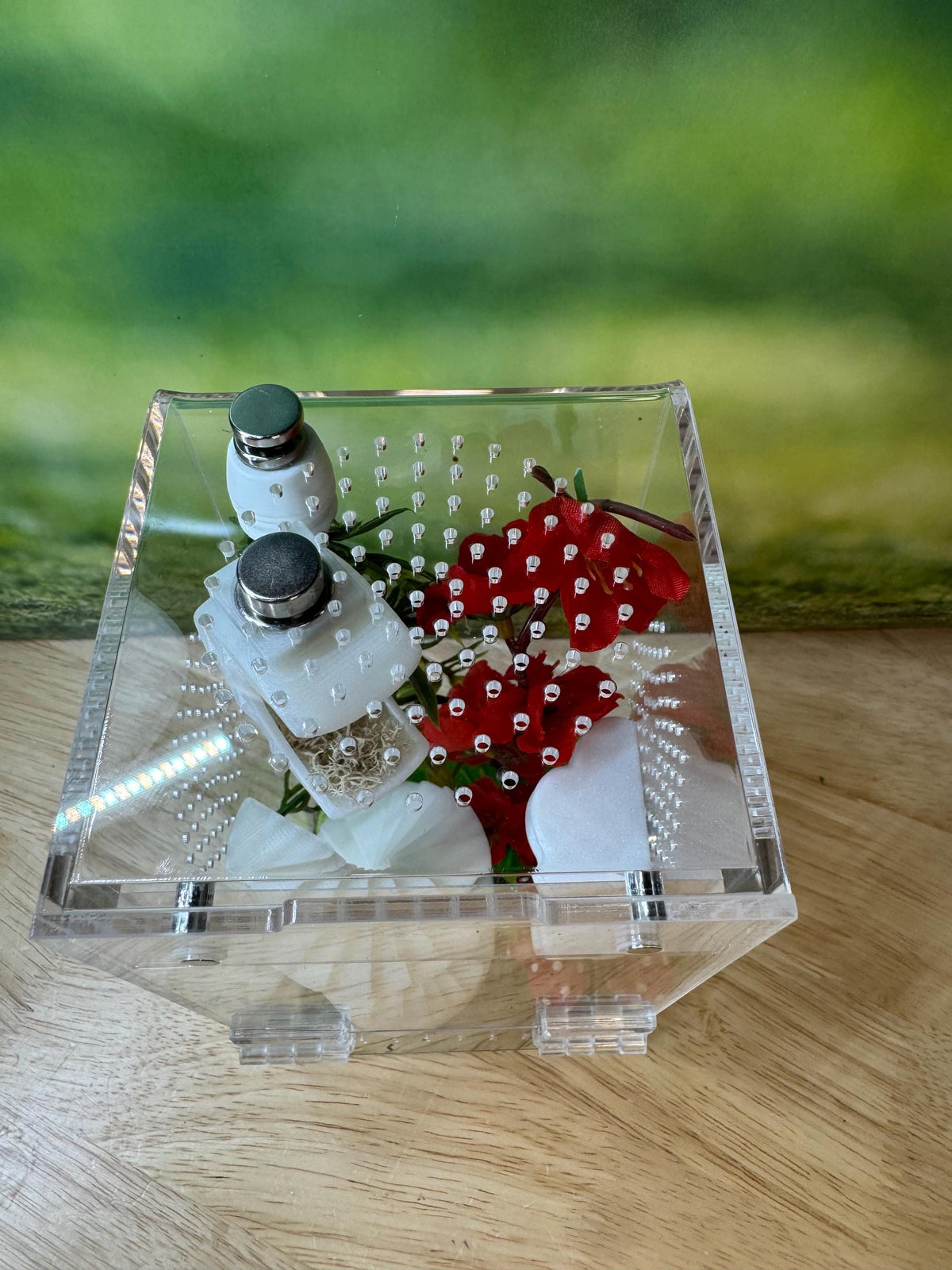 Glow in the dark Acrylic Jumping Spider Enclosure, Front Opening Habitat (3.5x3.5x7)