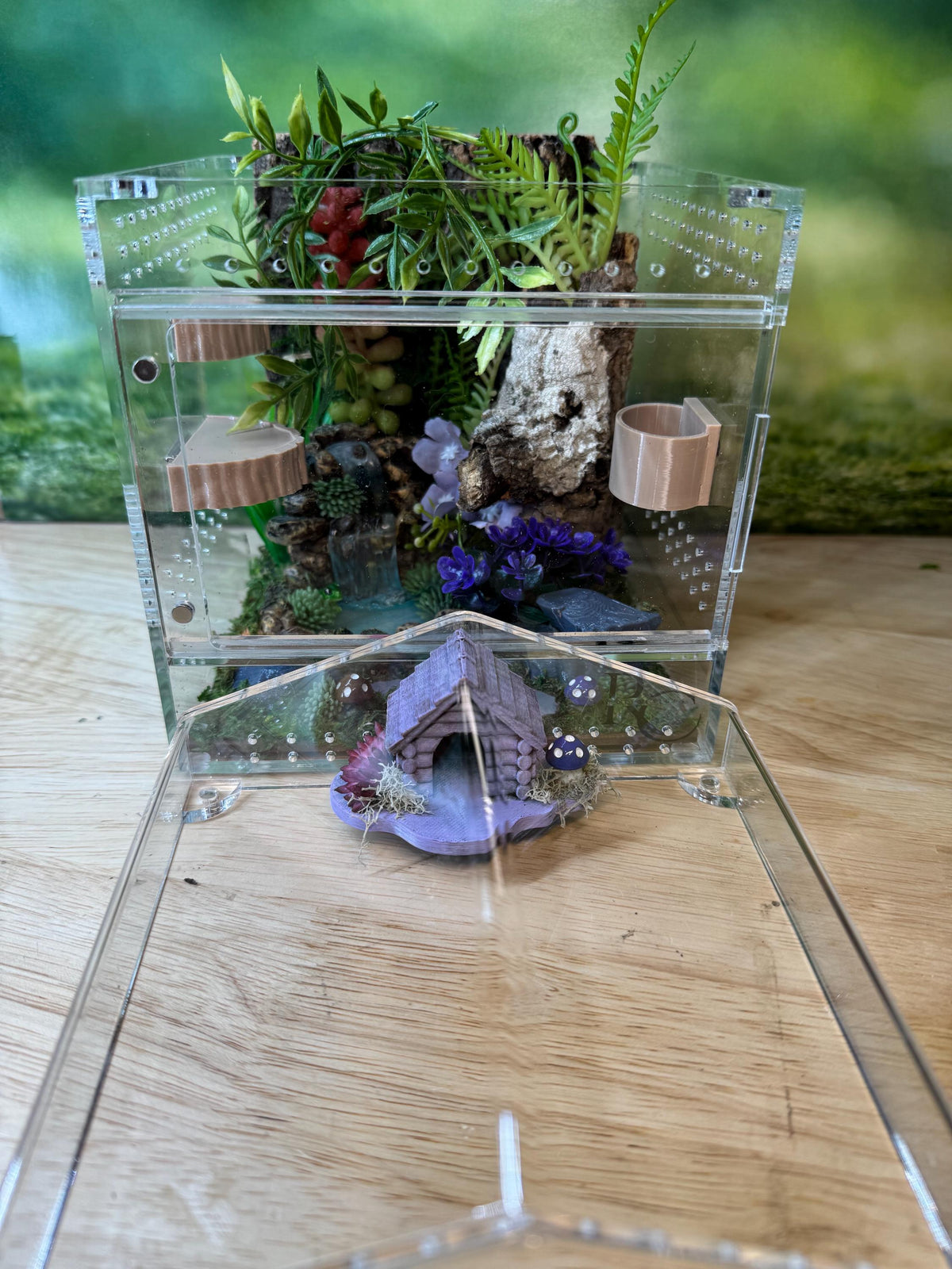 Decorated Acrylic Jumping Spider Enclosure, Magnetic Top and Front Opening Habitat, Large, 5.75x5.75x8