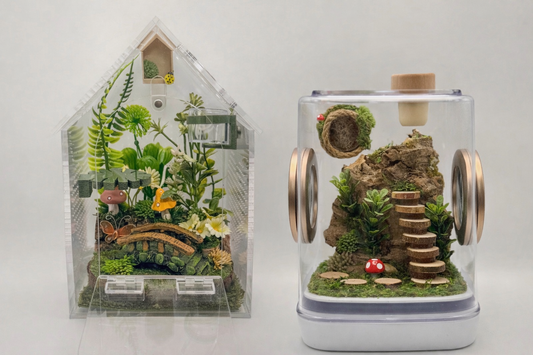 How to Choose the Best Jumping Spider Enclosure (Beginner’s Guide)