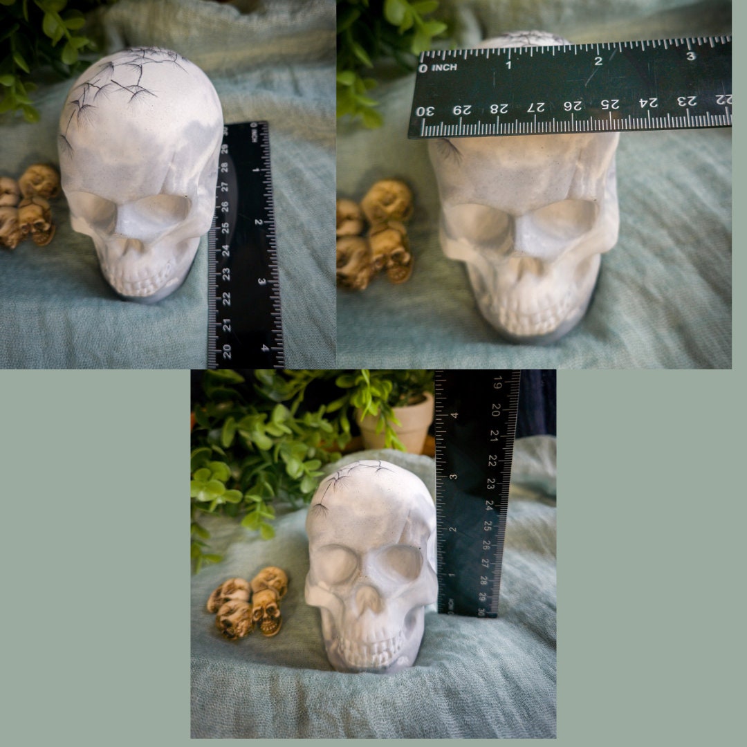 Concrete Skull with Dandelion, Unique Home Decor, paperweight for desk