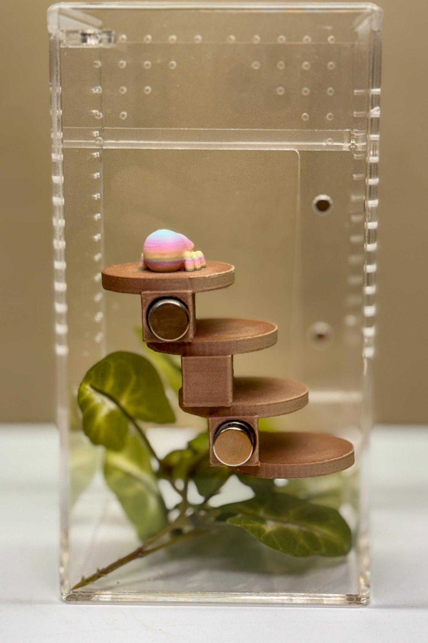 Jumping spider enclosure ladder or steps, magnetic enclosure accessory, small/medium decor for habitat