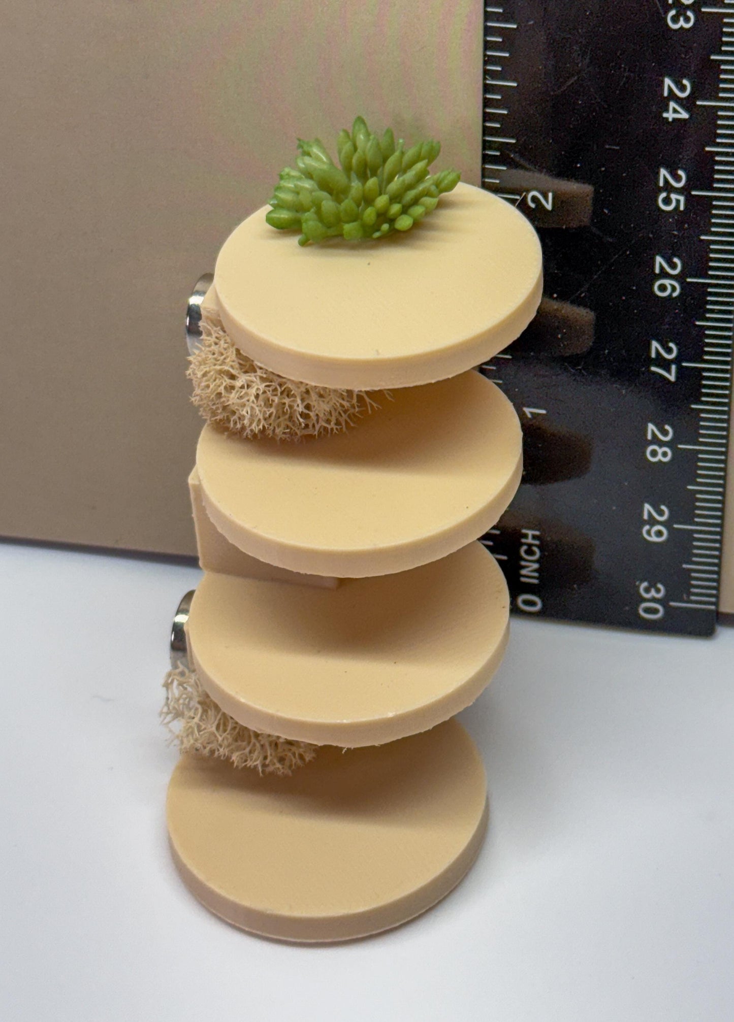 Jumping spider enclosure ladder or steps, magnetic enclosure accessory,  jumping spider decor, small to medium