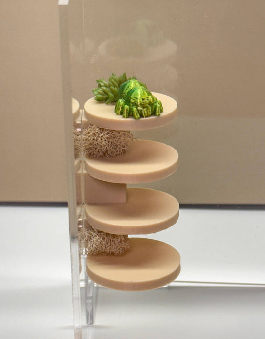 Jumping spider enclosure ladder or steps, magnetic enclosure accessory,  jumping spider decor, small to medium