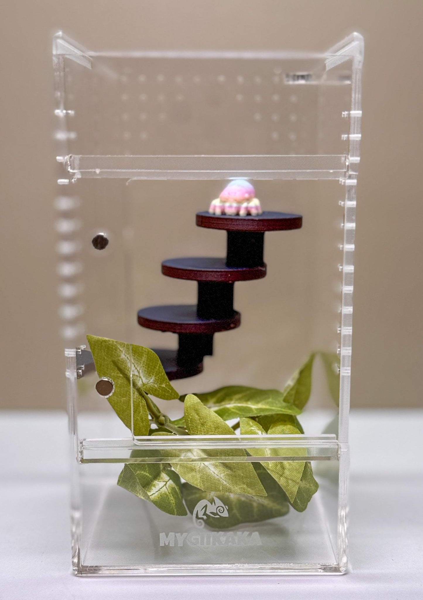 Jumping spider enclosure ladder or steps, magnetic enclosure accessory, small/medium decor for habitat