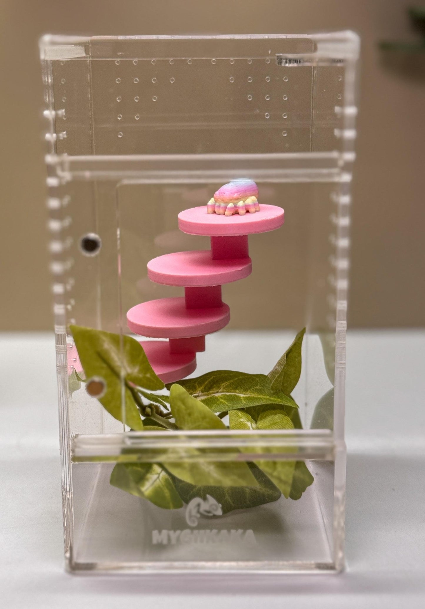 Jumping spider enclosure ladder or steps, magnetic enclosure accessory,  jumping spider decor, small to medium