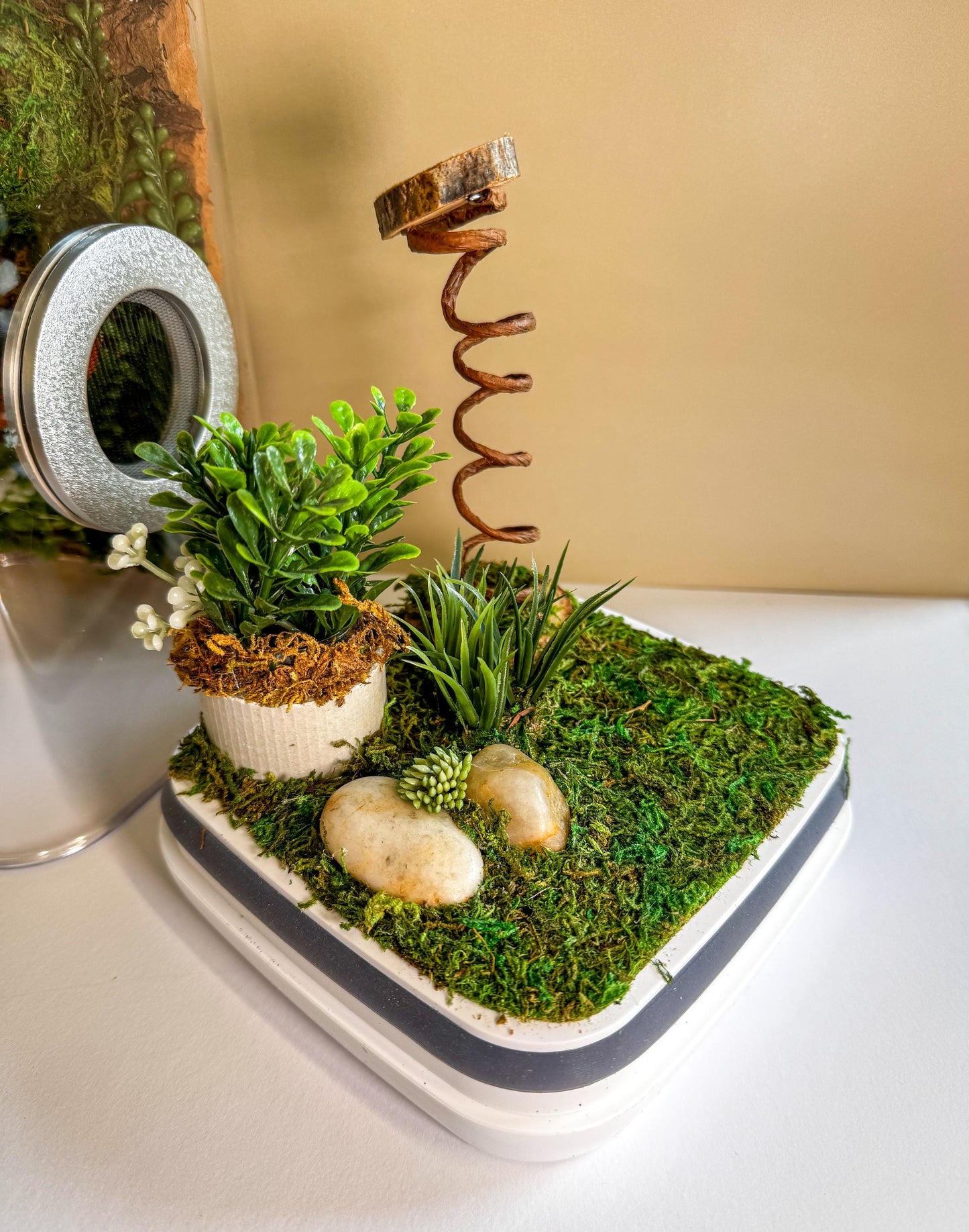 Decorated Large Jumping Spider Enclosure, 6x6x9