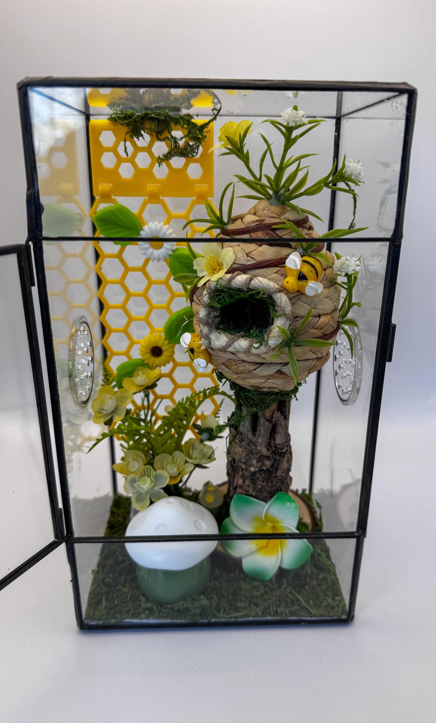 Decorated Jumping Spider Enclosure, Glass Terrarium 5.1" x 3.9" x 9"