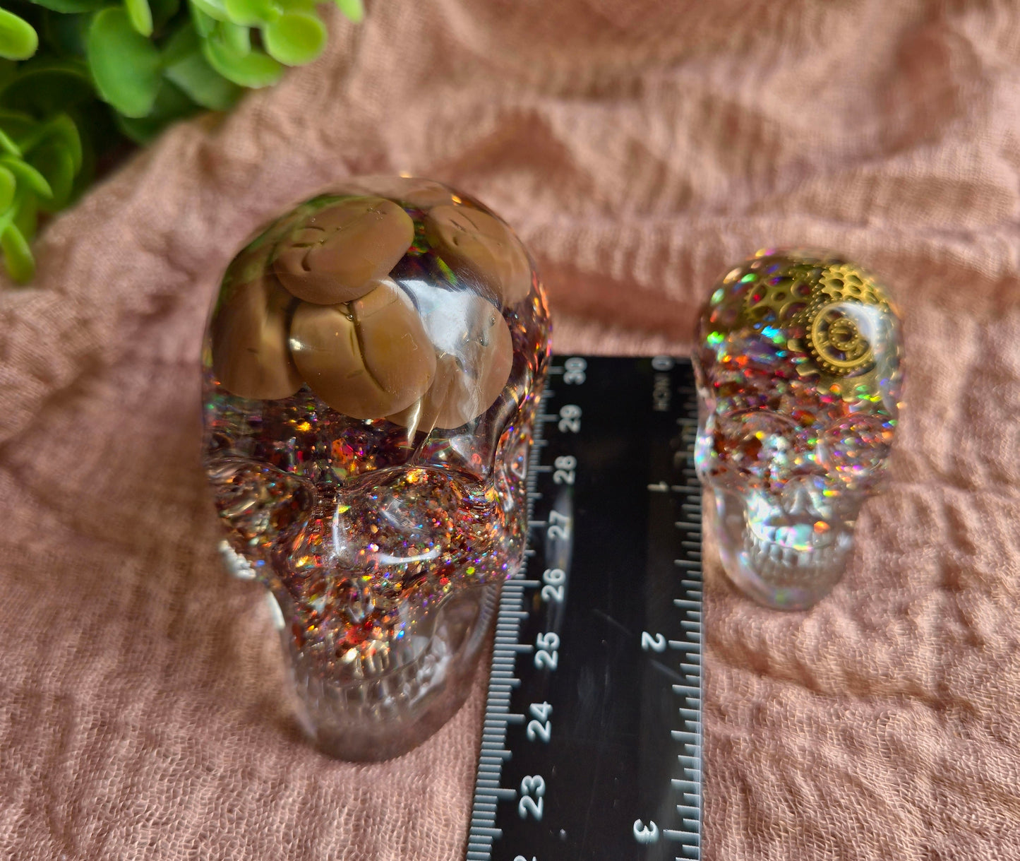 Steampunk Resin Skull with Coffee Bean Brains,  Quirky Desk Paperweight