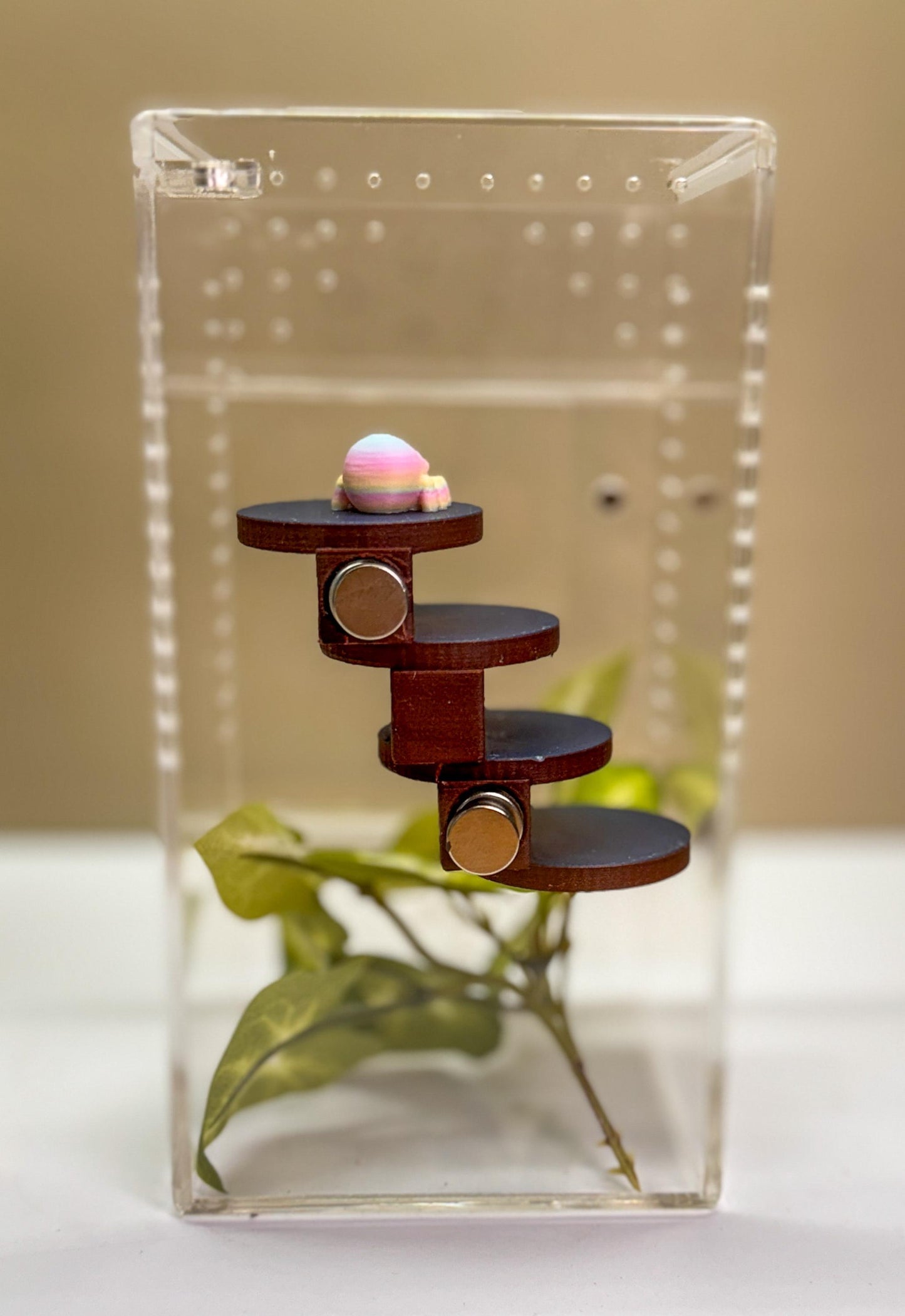 Jumping spider enclosure ladder or steps, magnetic enclosure accessory, small/medium decor for habitat