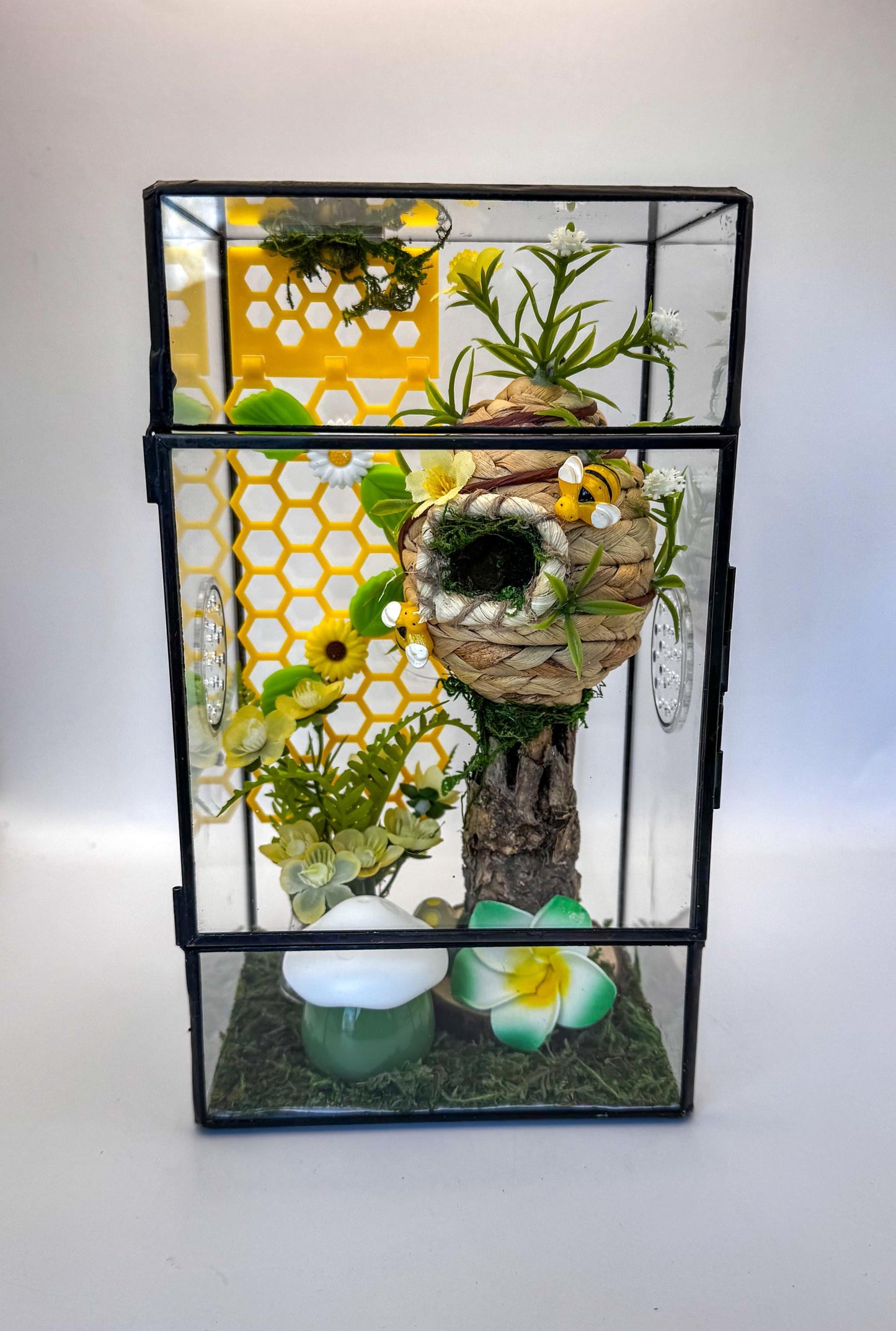 Decorated Jumping Spider Enclosure, Glass Terrarium 5.1" x 3.9" x 9"