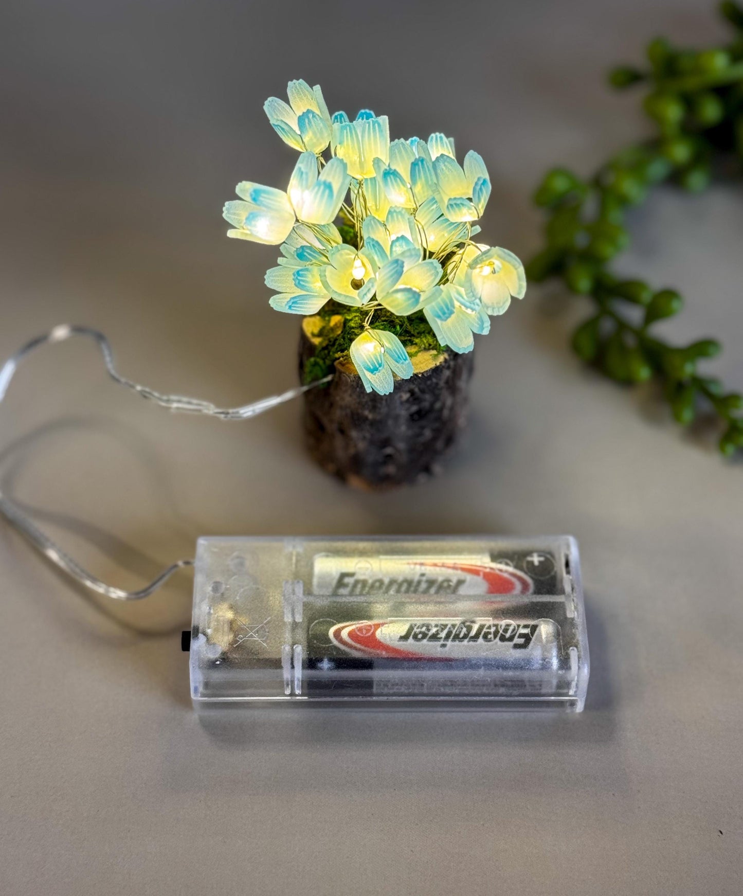 Fairy garden with tulips and fairy lights