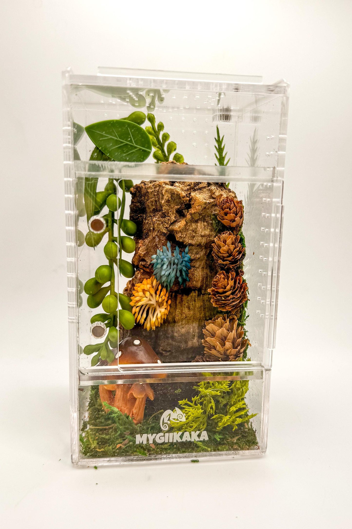 Small Decorated Magnetic Front Opening Jumping Spider Enclosure, 3x3x6