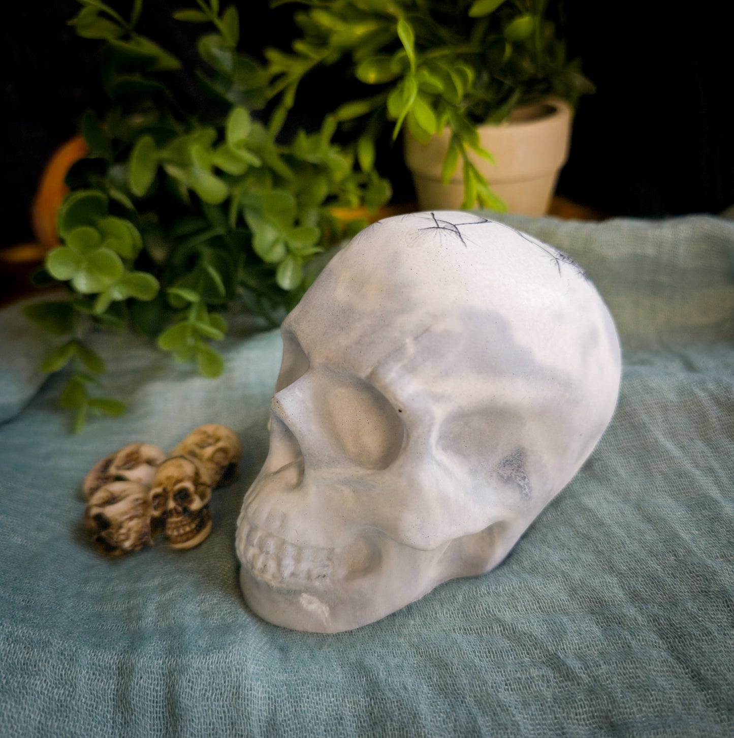 Concrete Skull with Dandelion, Unique Home Decor, paperweight for desk