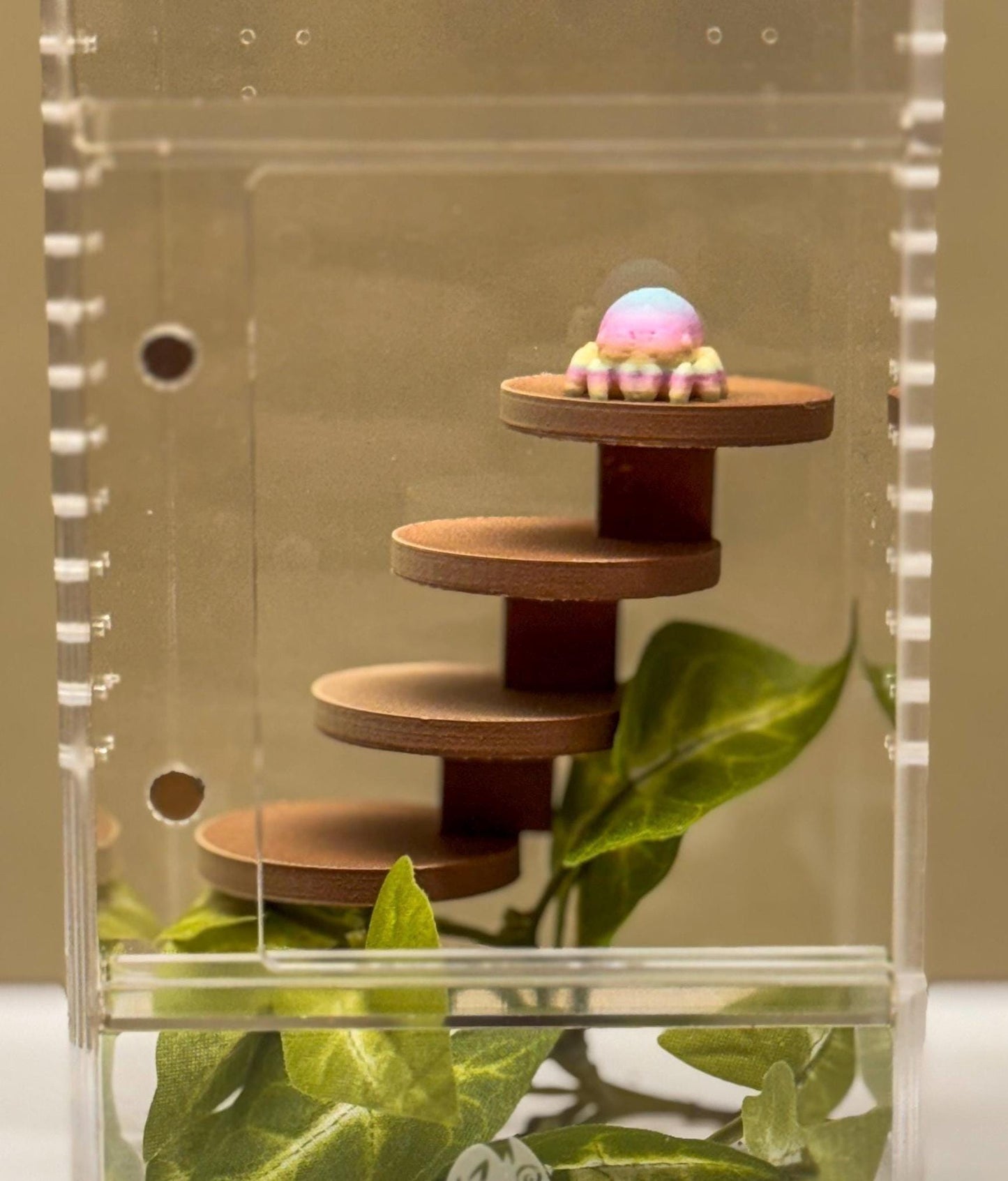 Jumping spider enclosure ladder or steps, magnetic enclosure accessory, small/medium decor for habitat