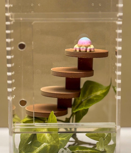 Jumping spider enclosure ladder or steps, magnetic enclosure accessory, small/medium decor for habitat
