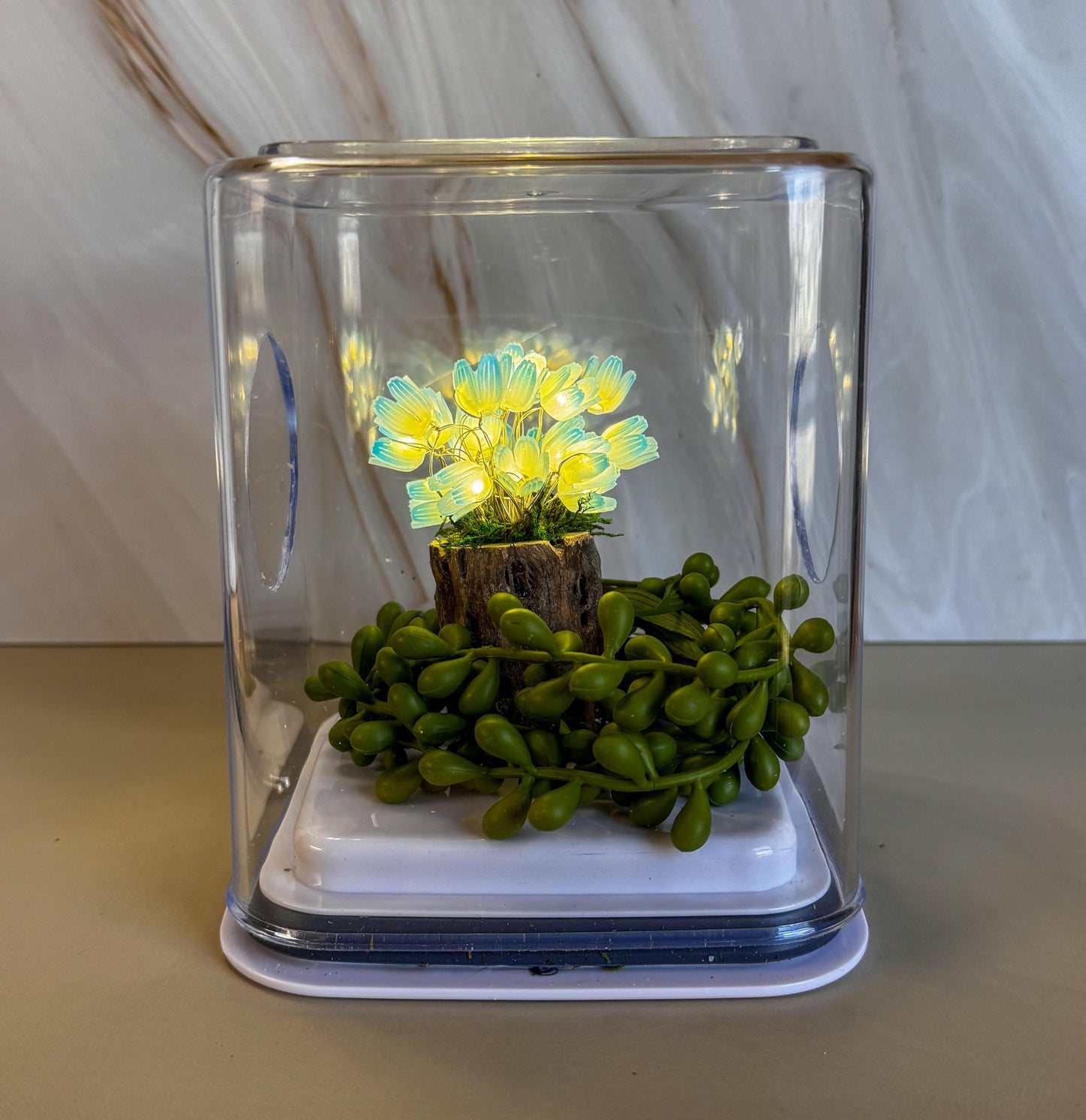 Fairy garden with tulips and fairy lights