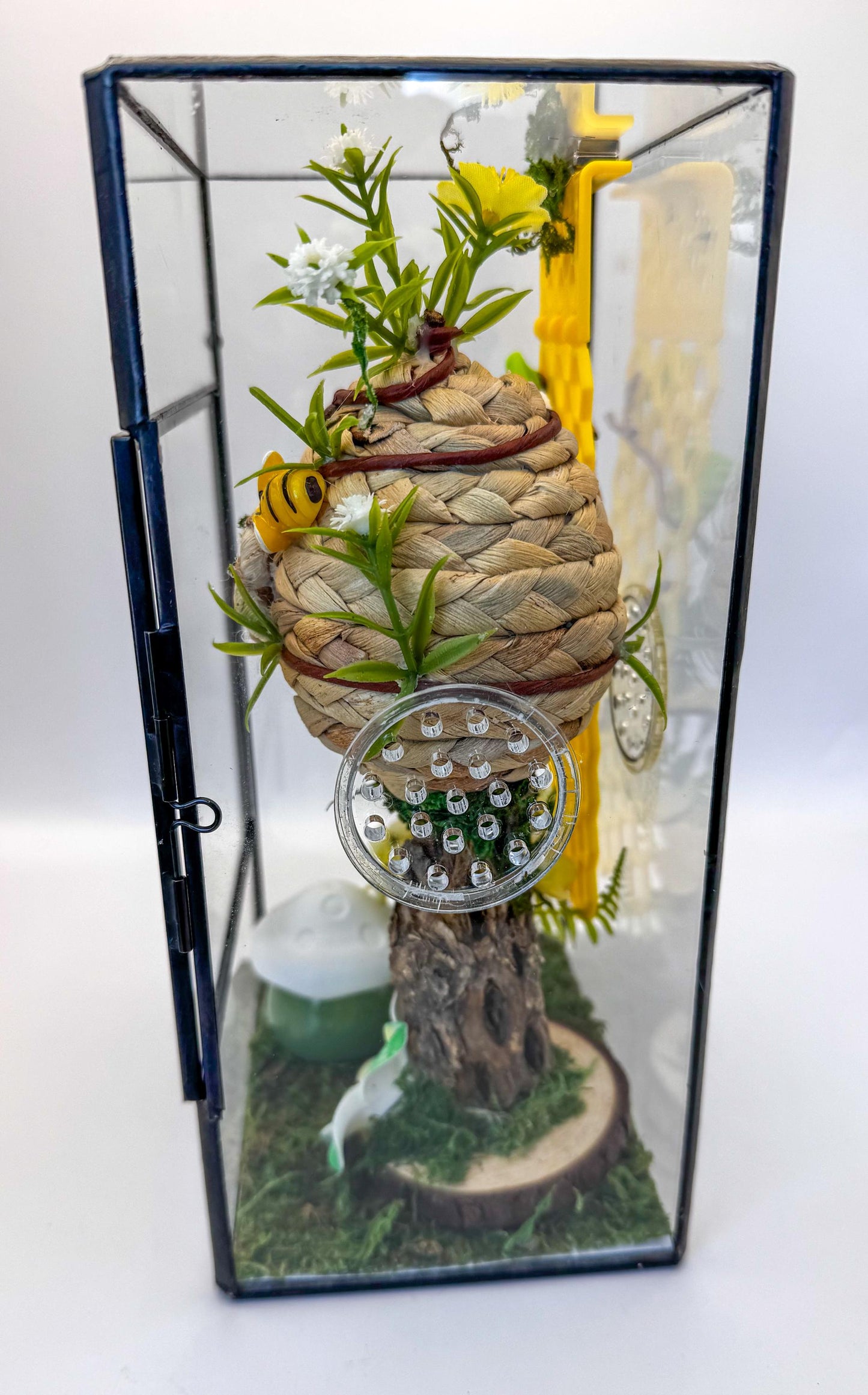 Decorated Jumping Spider Enclosure, Glass Terrarium 5.1" x 3.9" x 9"