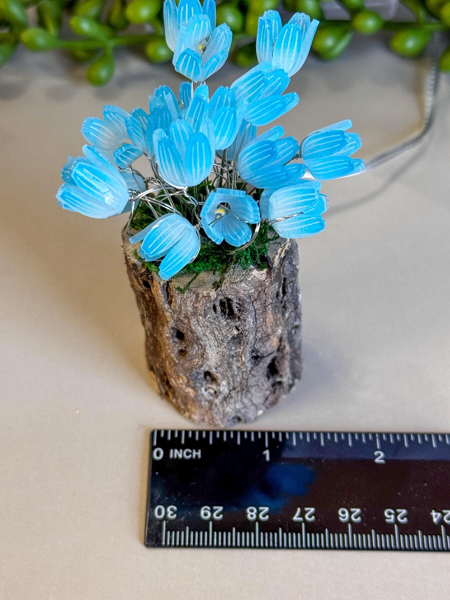 Fairy garden with tulips and fairy lights