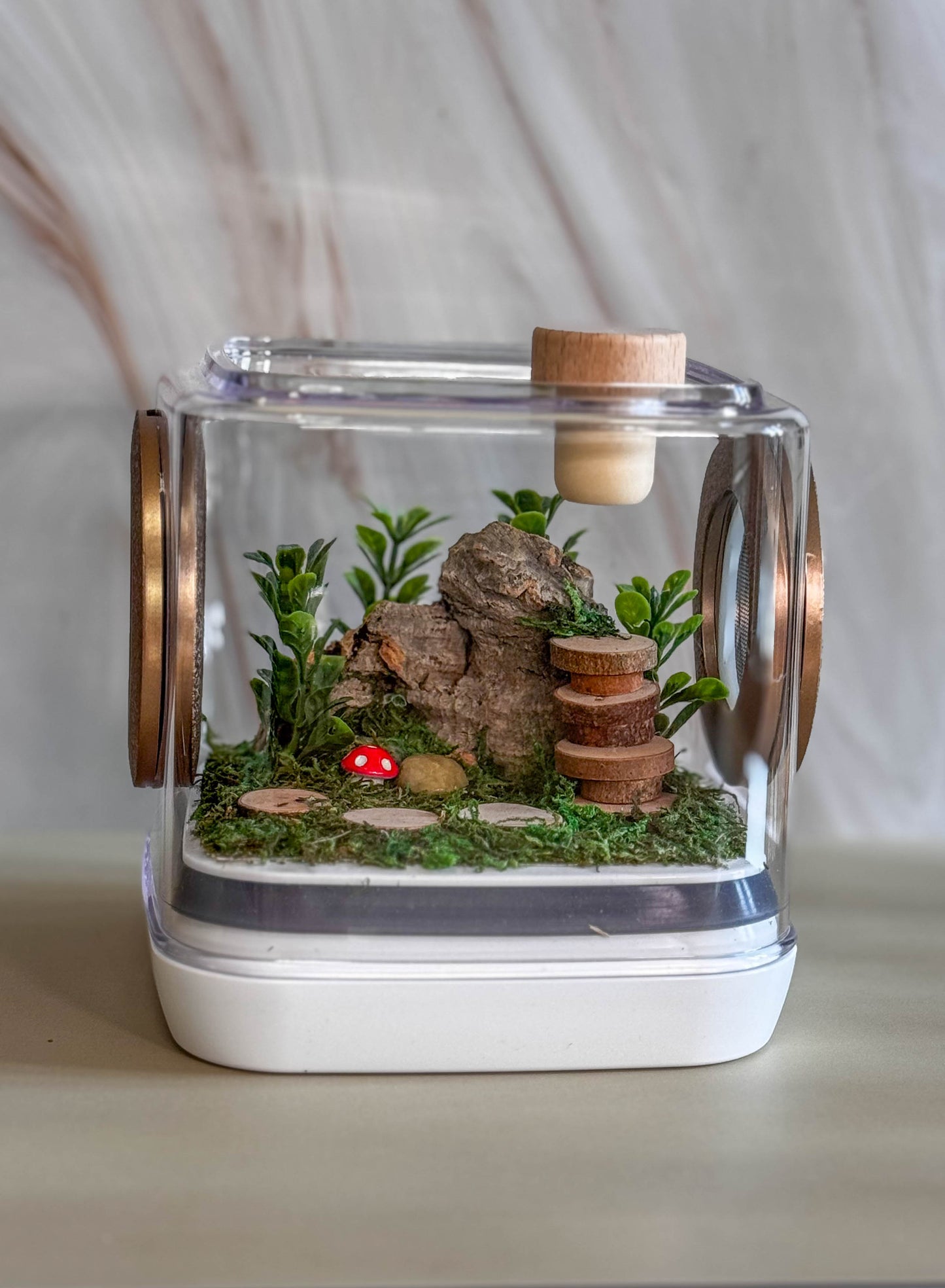 Decorated Small Jumping Spider Enclosure, 5x5x5