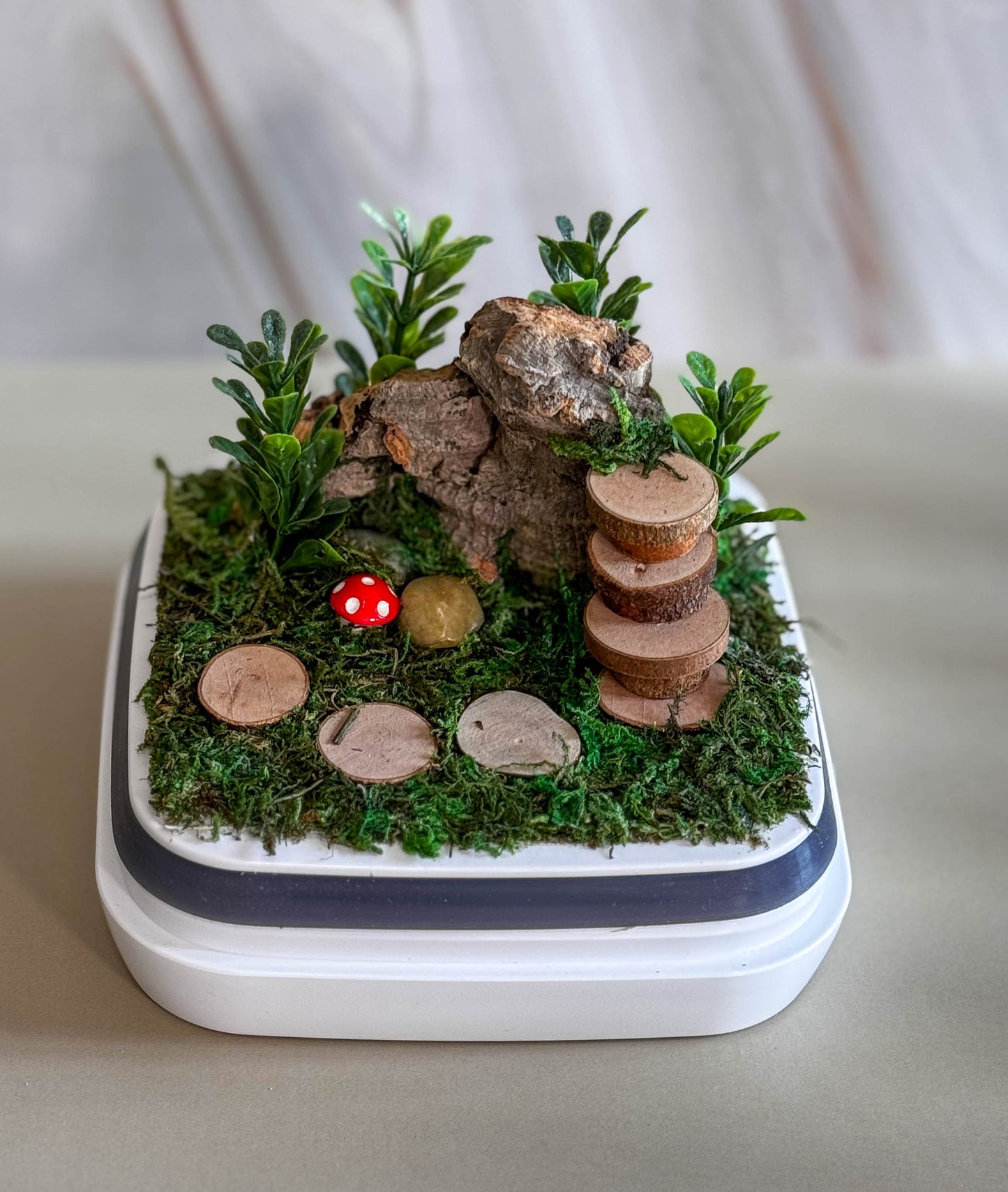 Decorated Small Jumping Spider Enclosure, 5x5x5