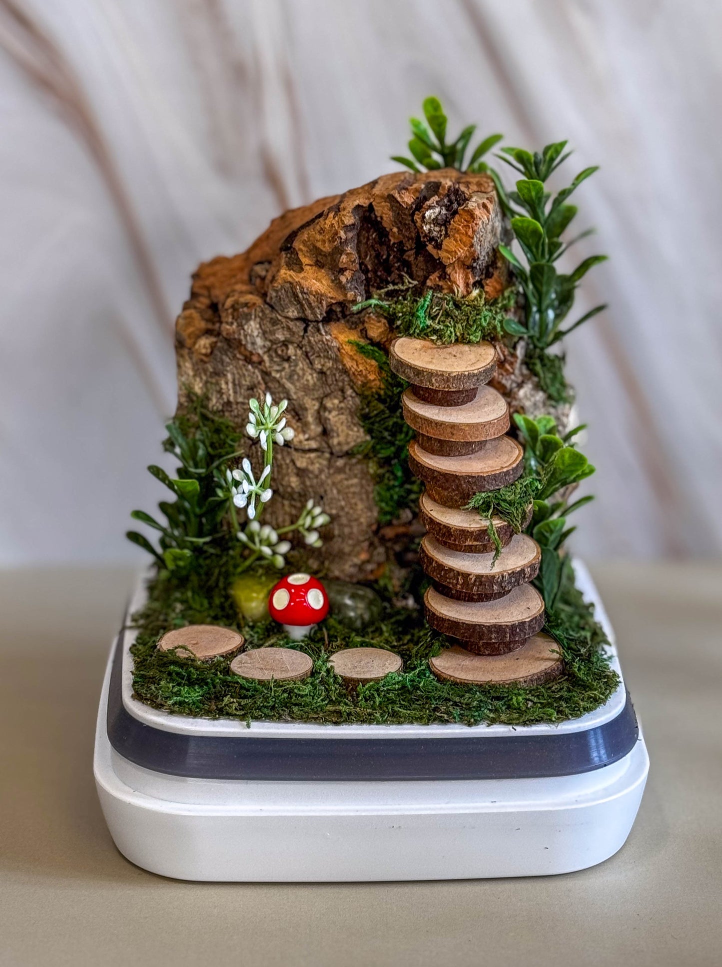 Decorated Medium Jumping Spider Enclosure, 5x5x7